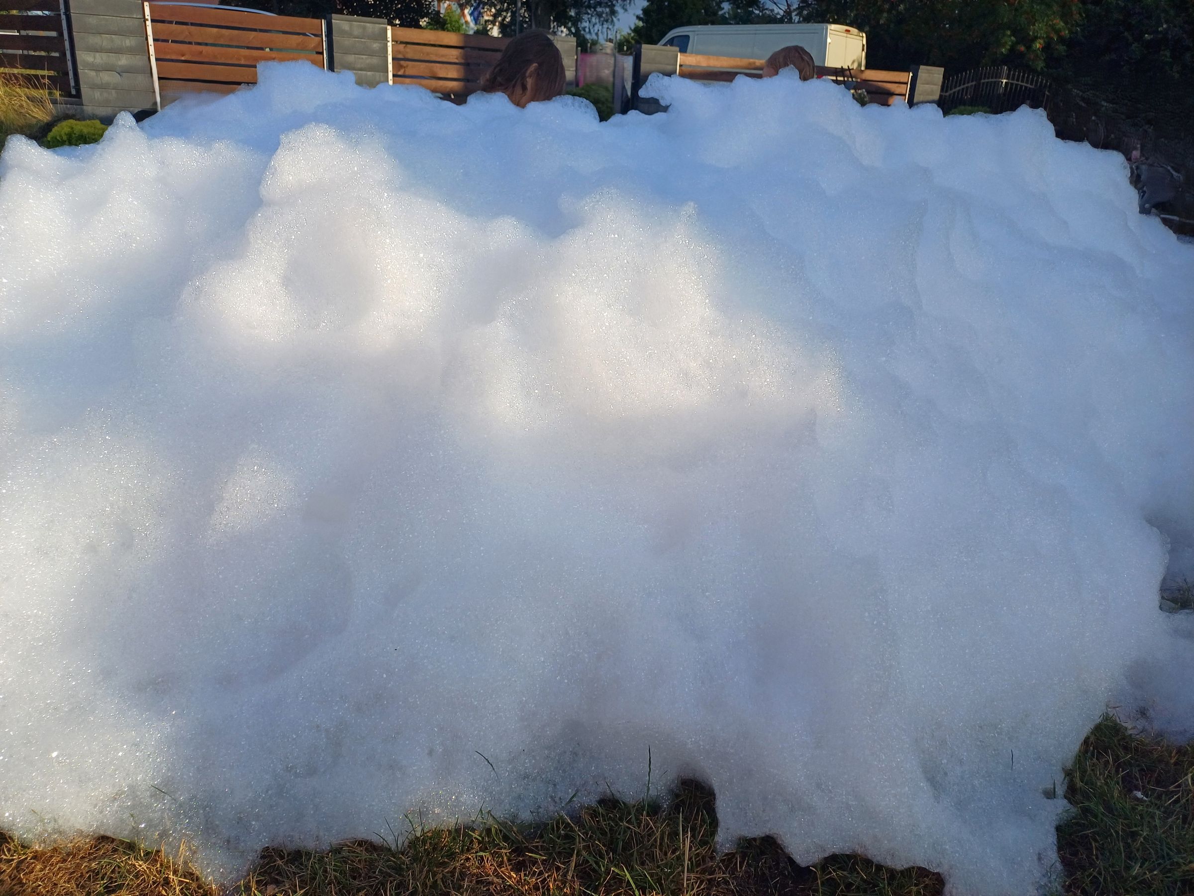 Trele Morele's image