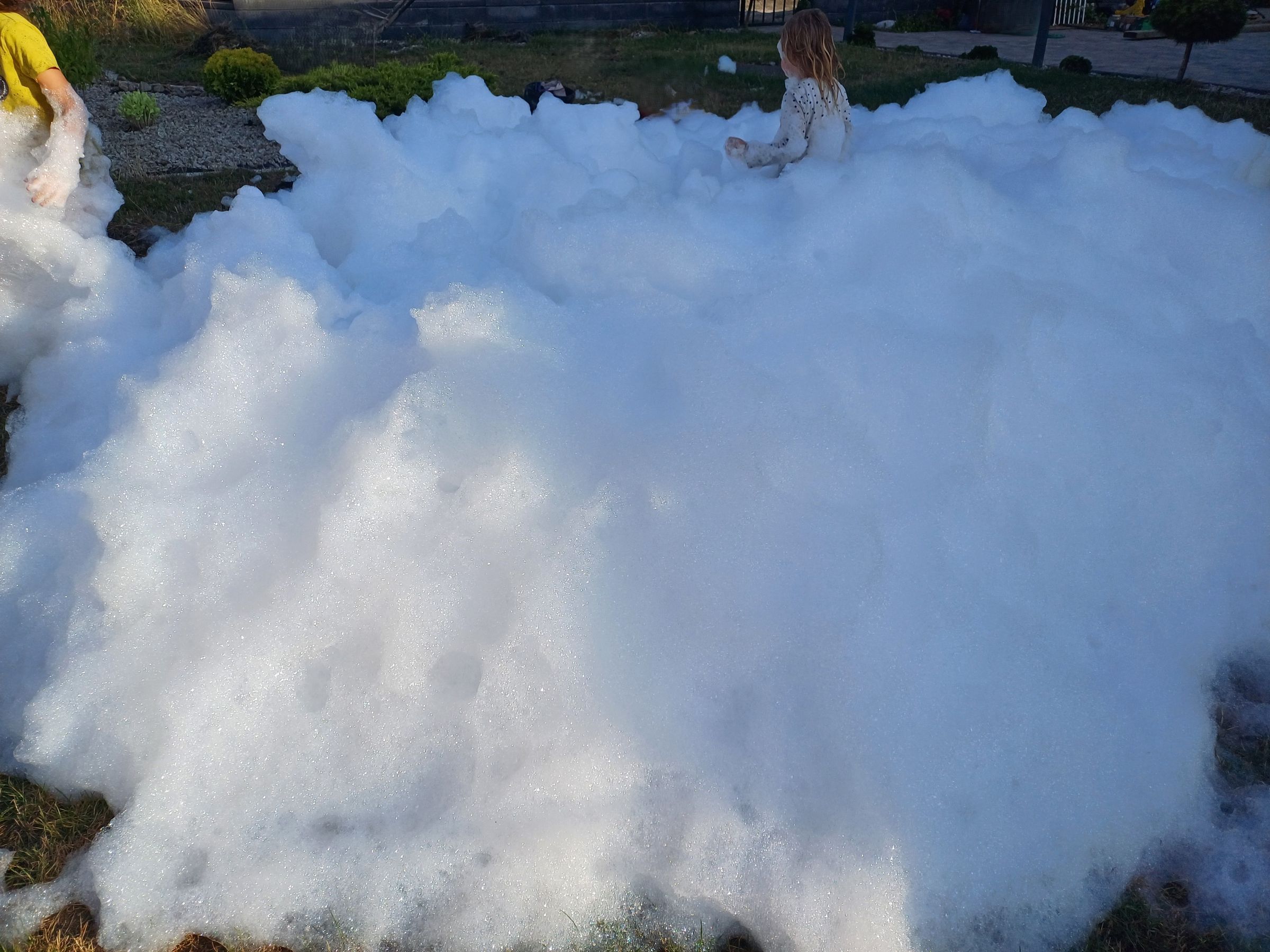 Trele Morele's image