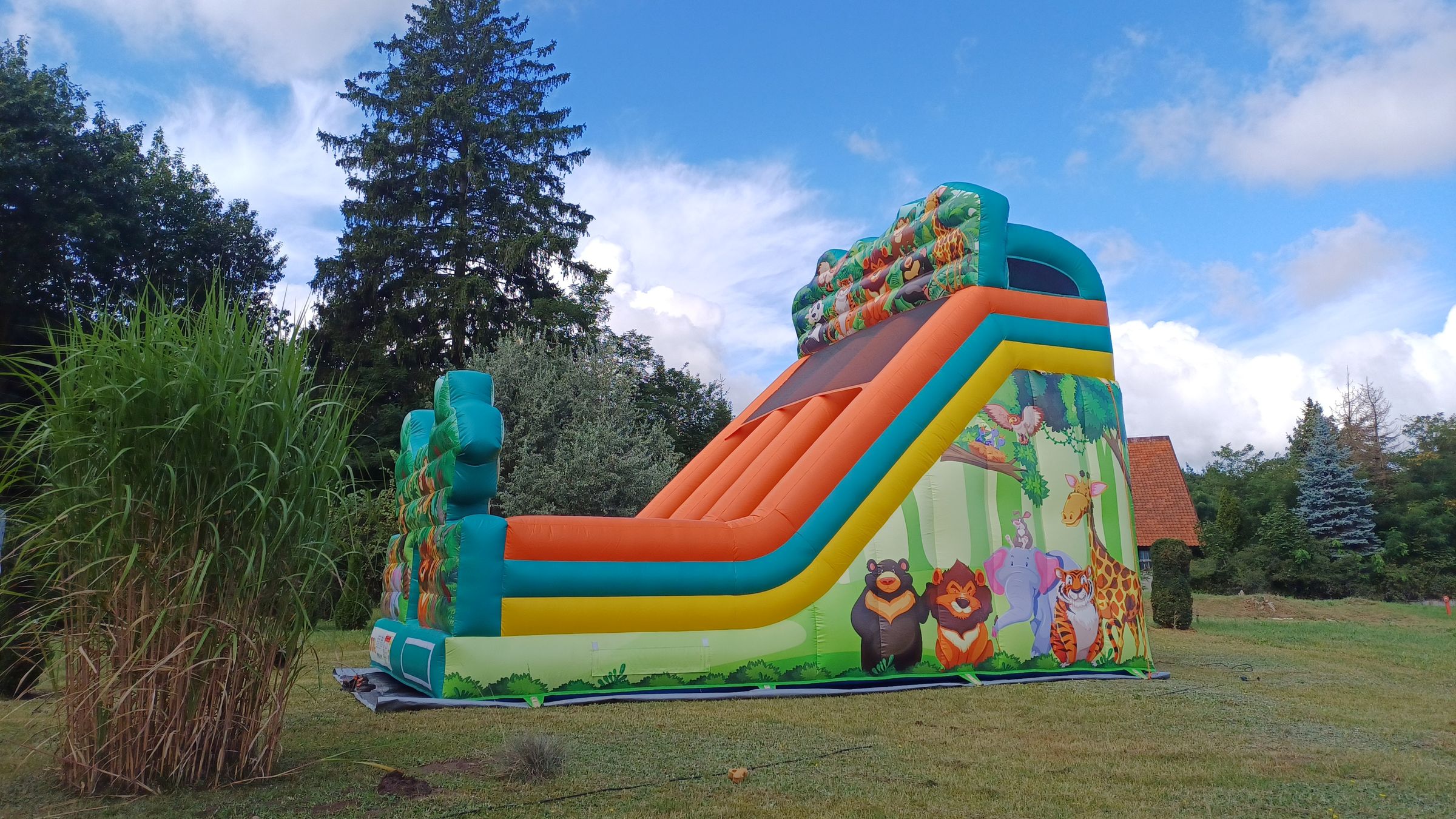 Trele Morele's image