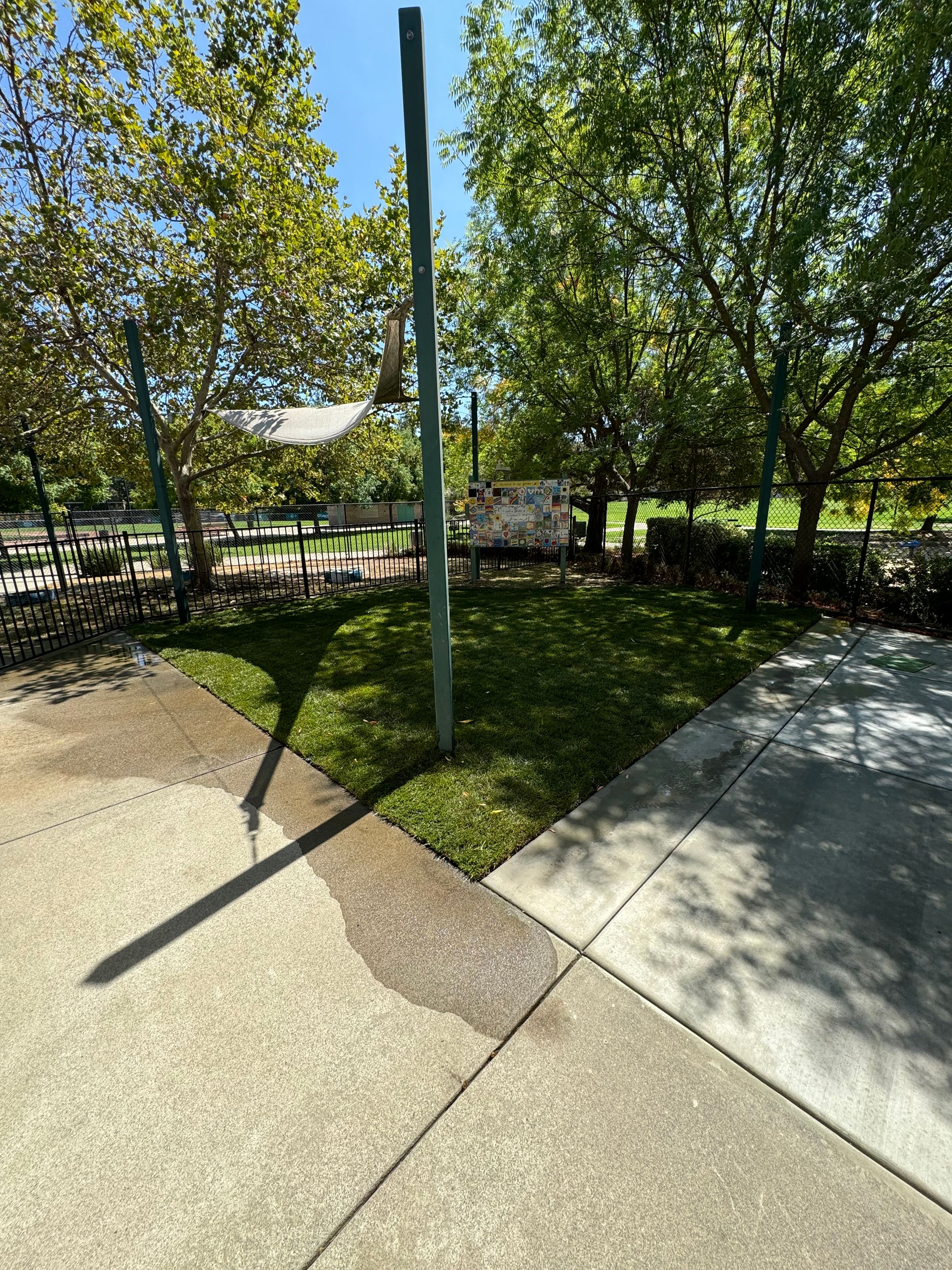 NEW GRASS AND SPRINKLER SYSTEM