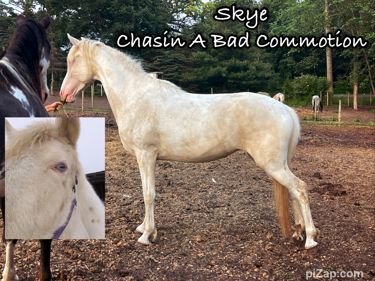 Skye