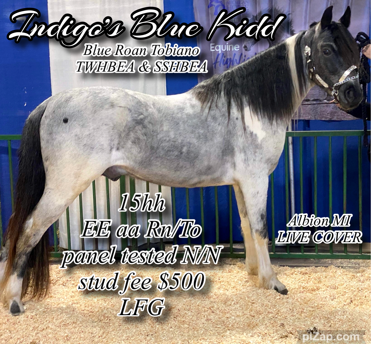 Red Brick Ranch's image