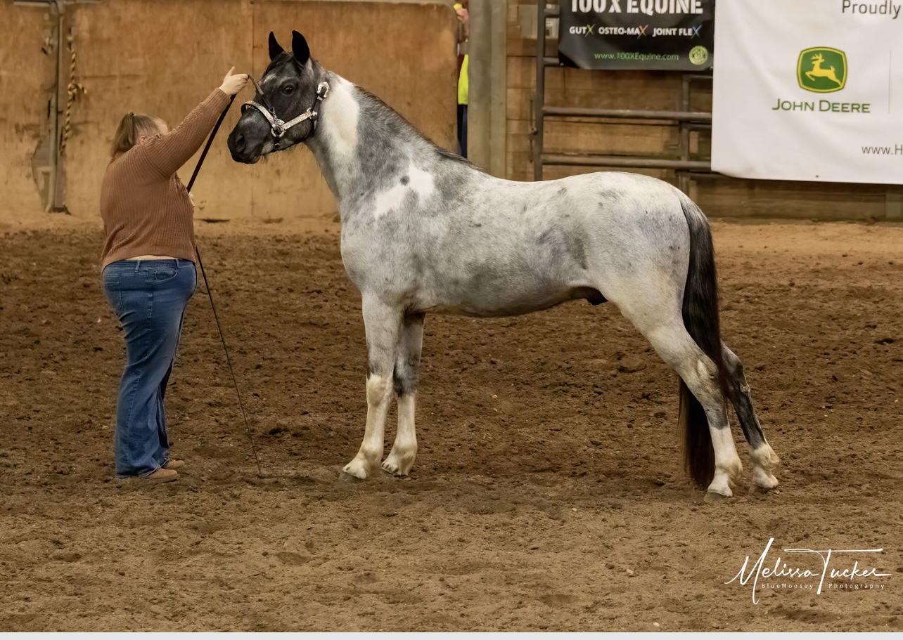 Red Brick Ranch's image