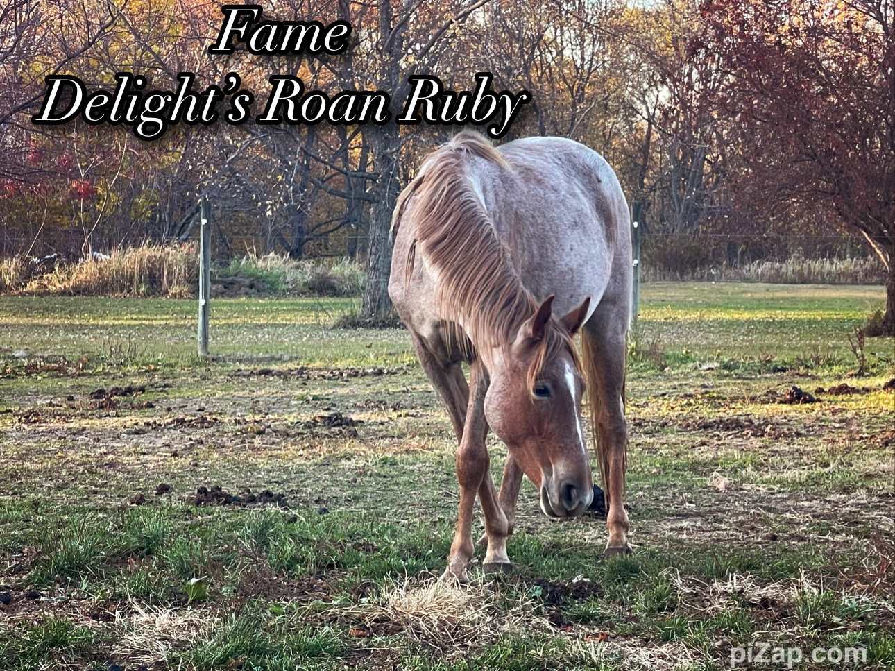 Red Brick Ranch's image