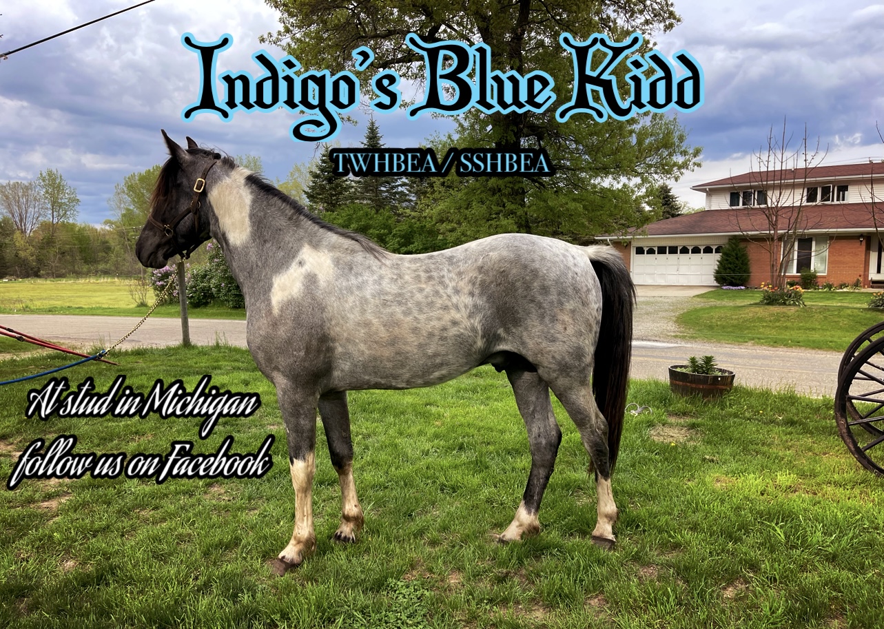Red Brick Ranch's image