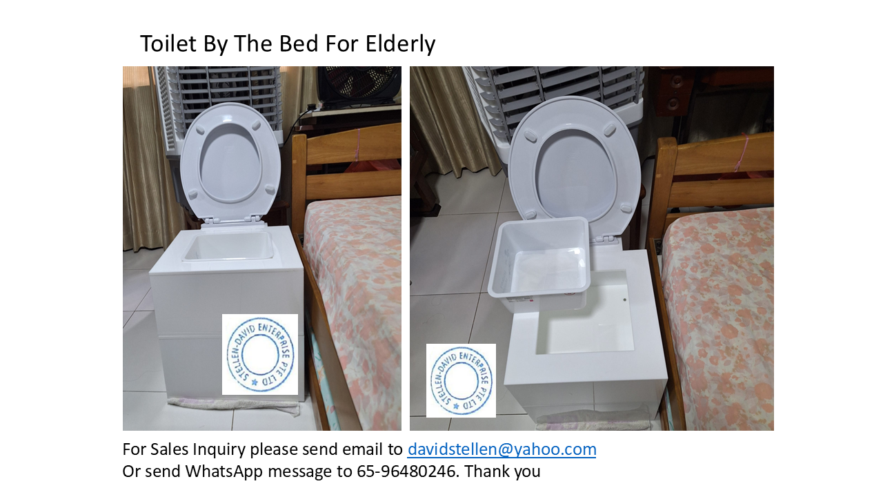 Toilet By The Bed For Elderly's image