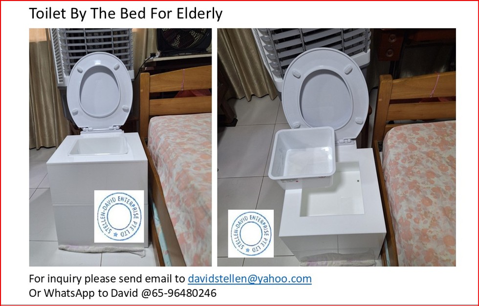 Toilet By The Bed For Elderly's image