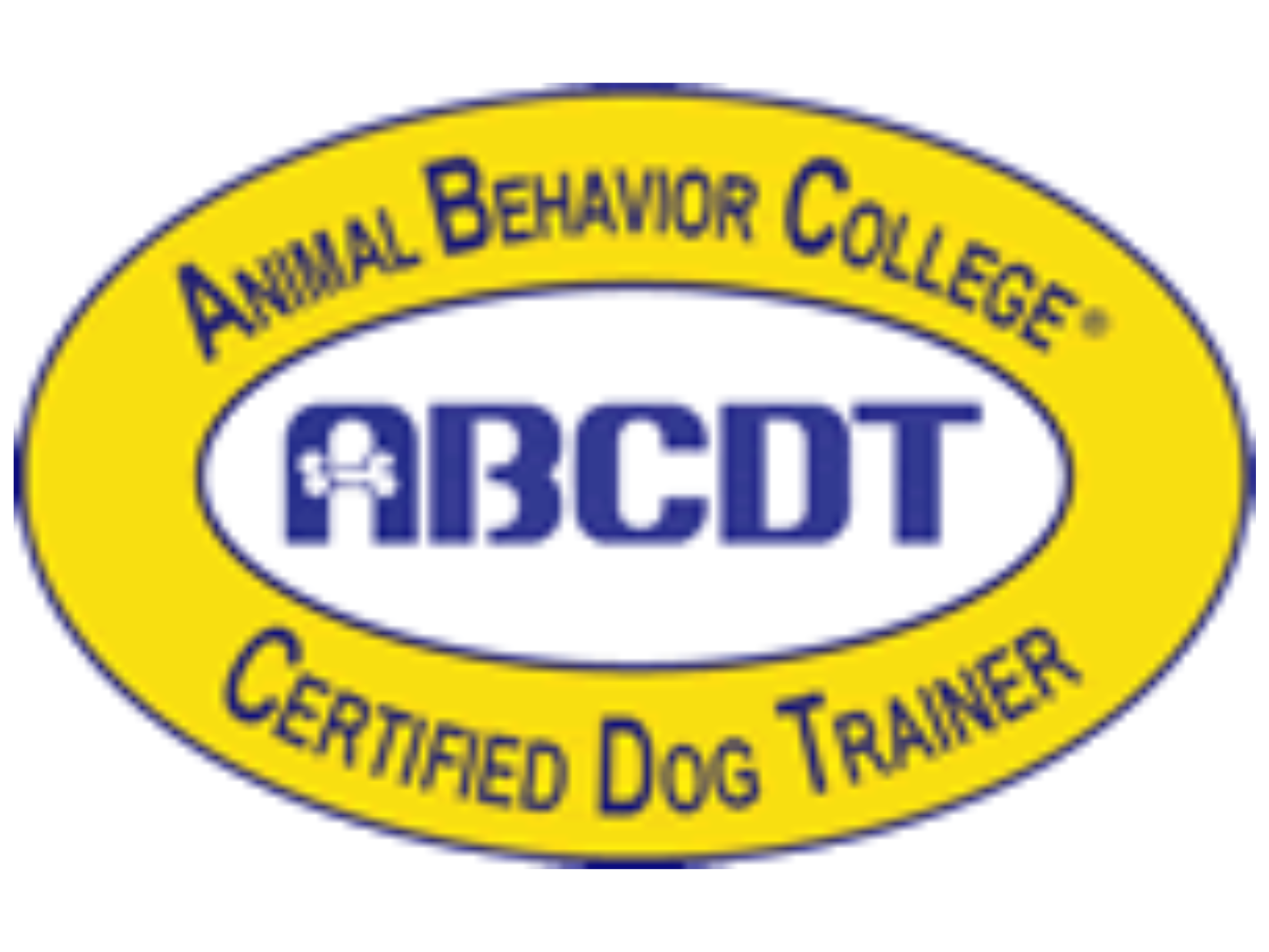 Adams K9 Academy's image
