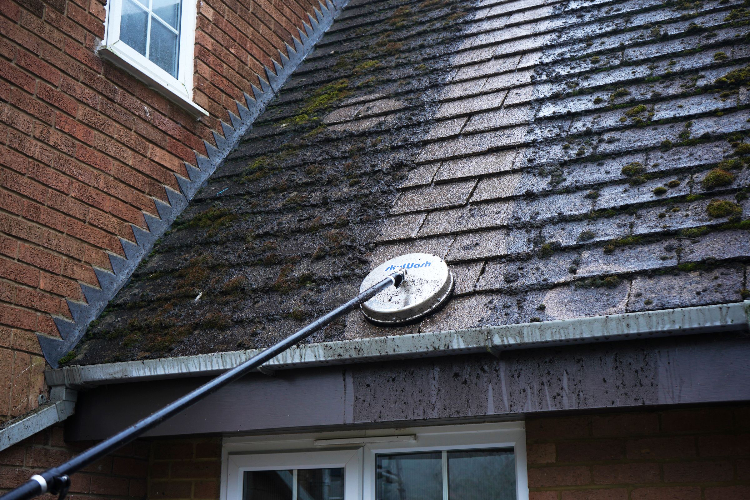 SkyClear Solutions's image