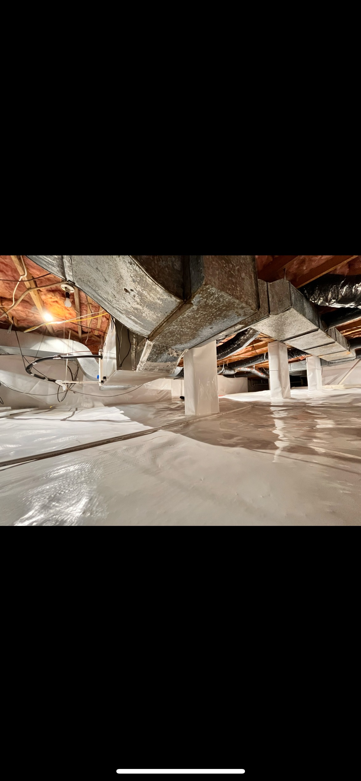 Everything Crawlspace's image