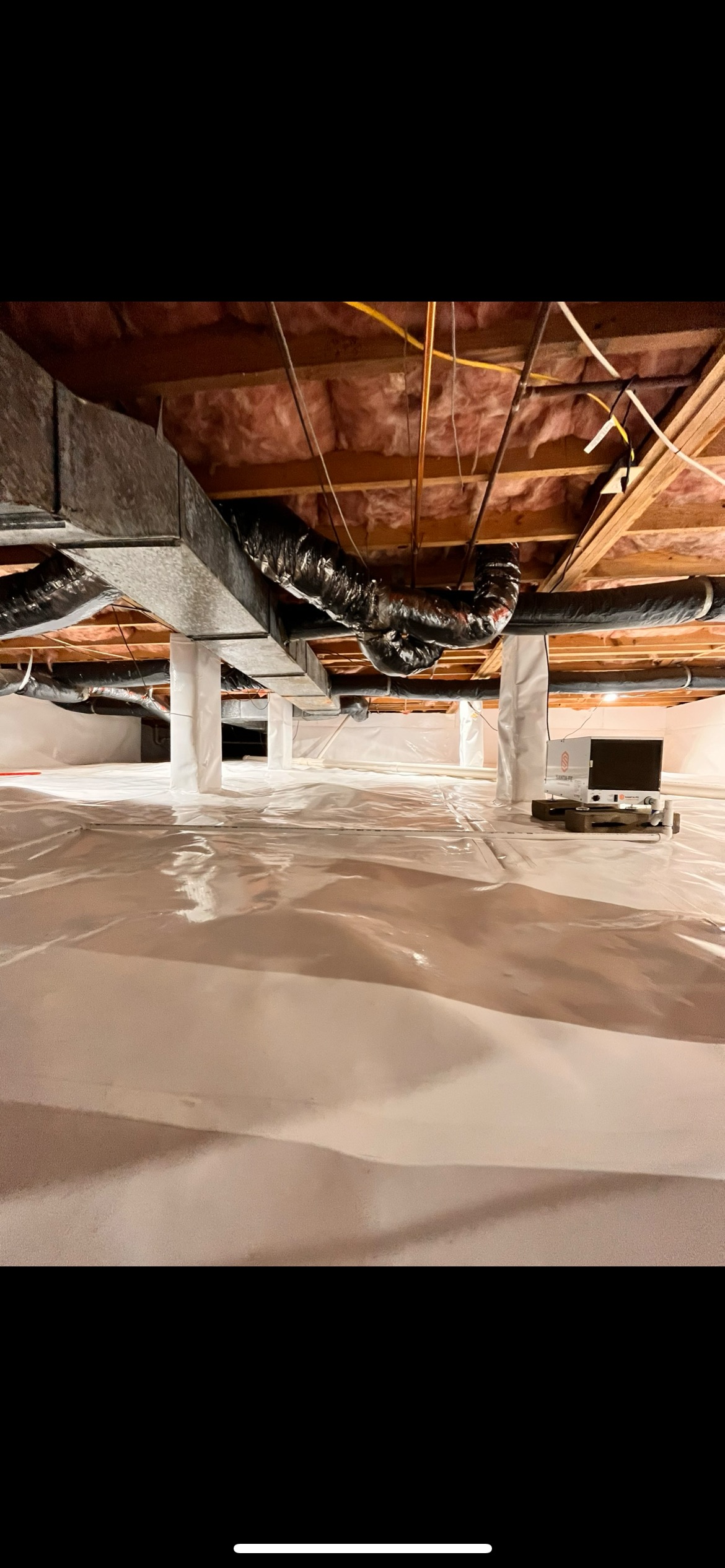 Everything Crawlspace's image