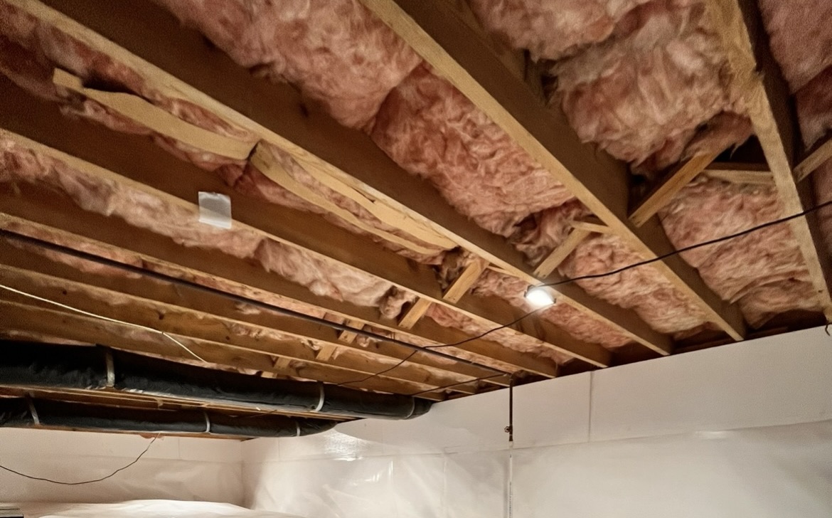 Everything Crawlspace's image