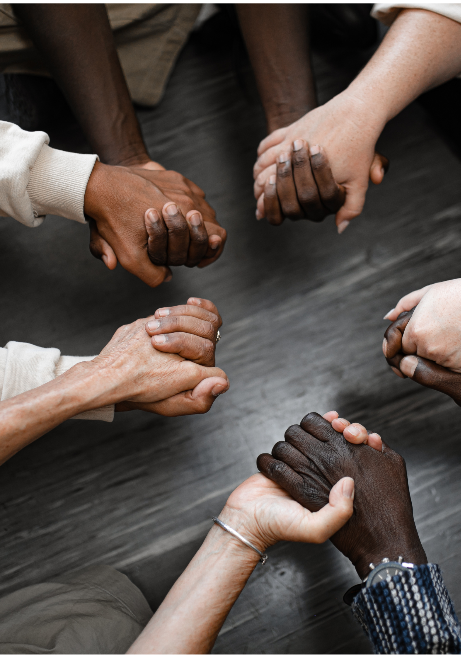 Cubs In Action International INC's image