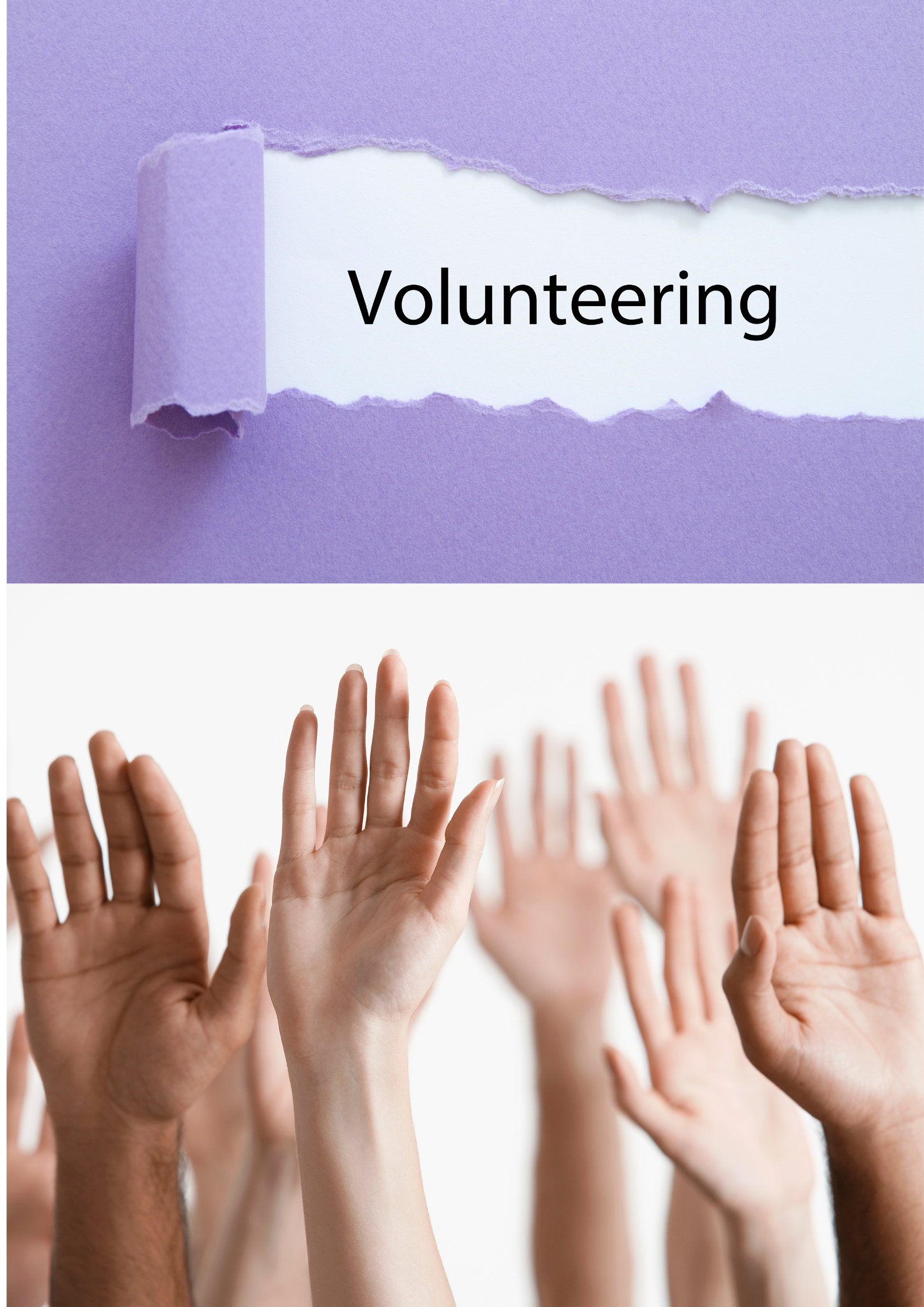 Cubs In Action International INC's image