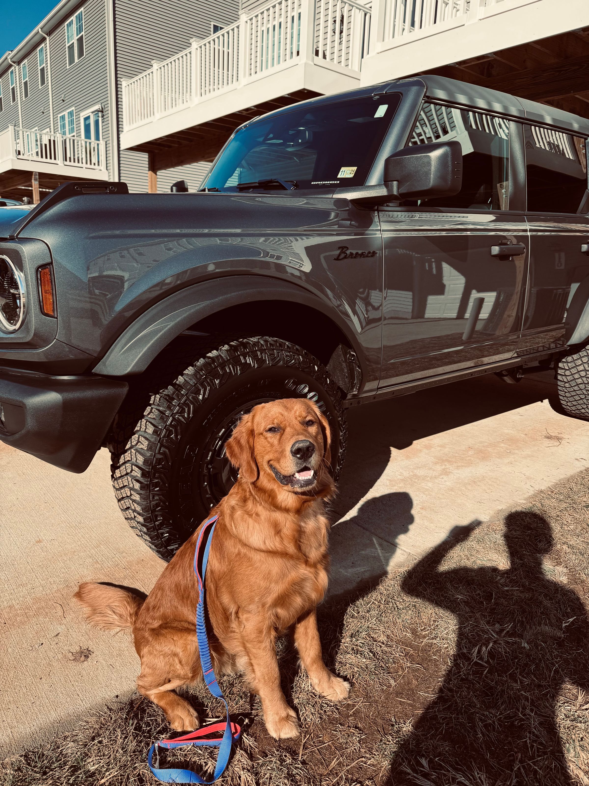 Apex Auto Detailing's image