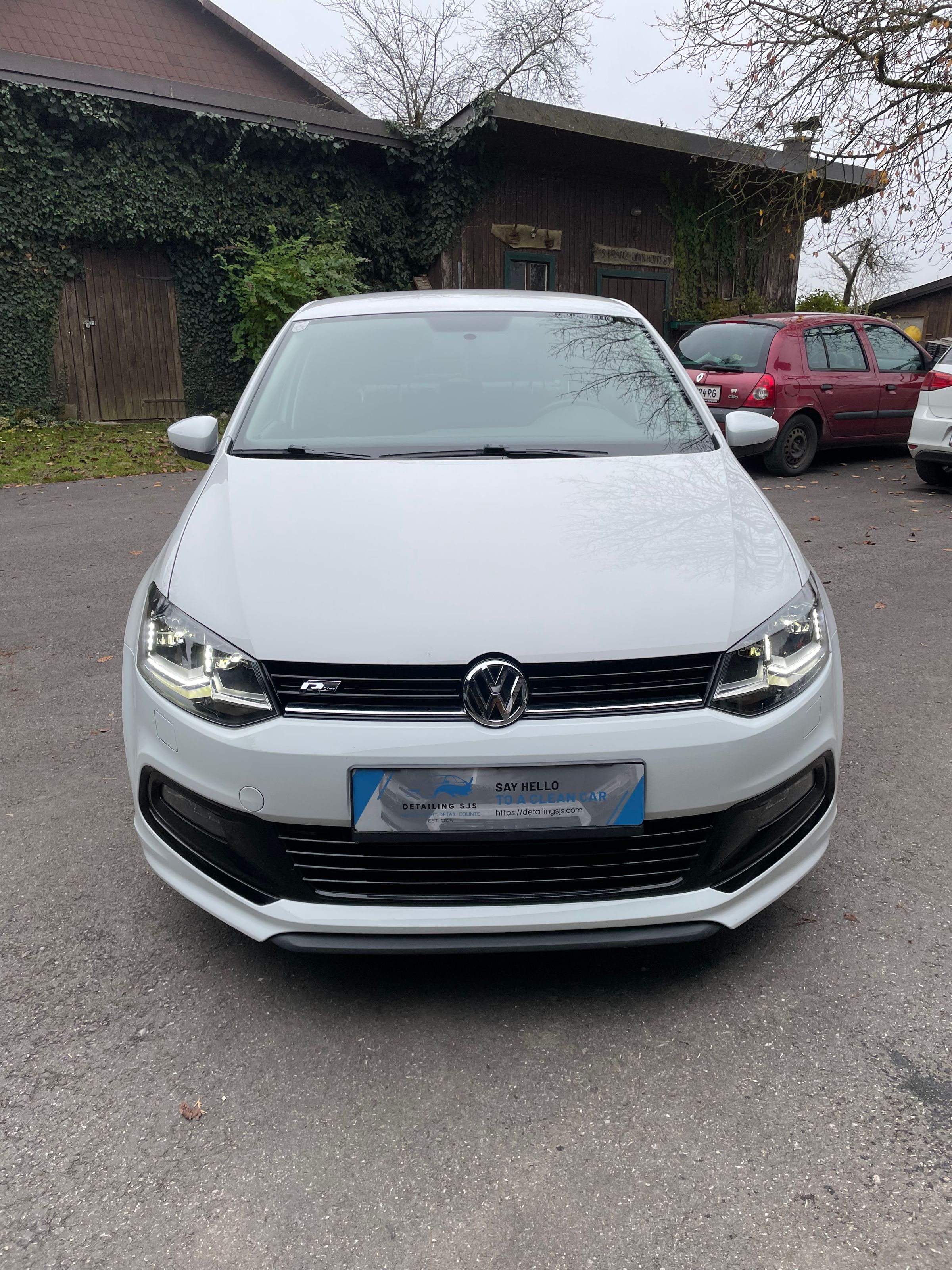 Detailing SJS's image