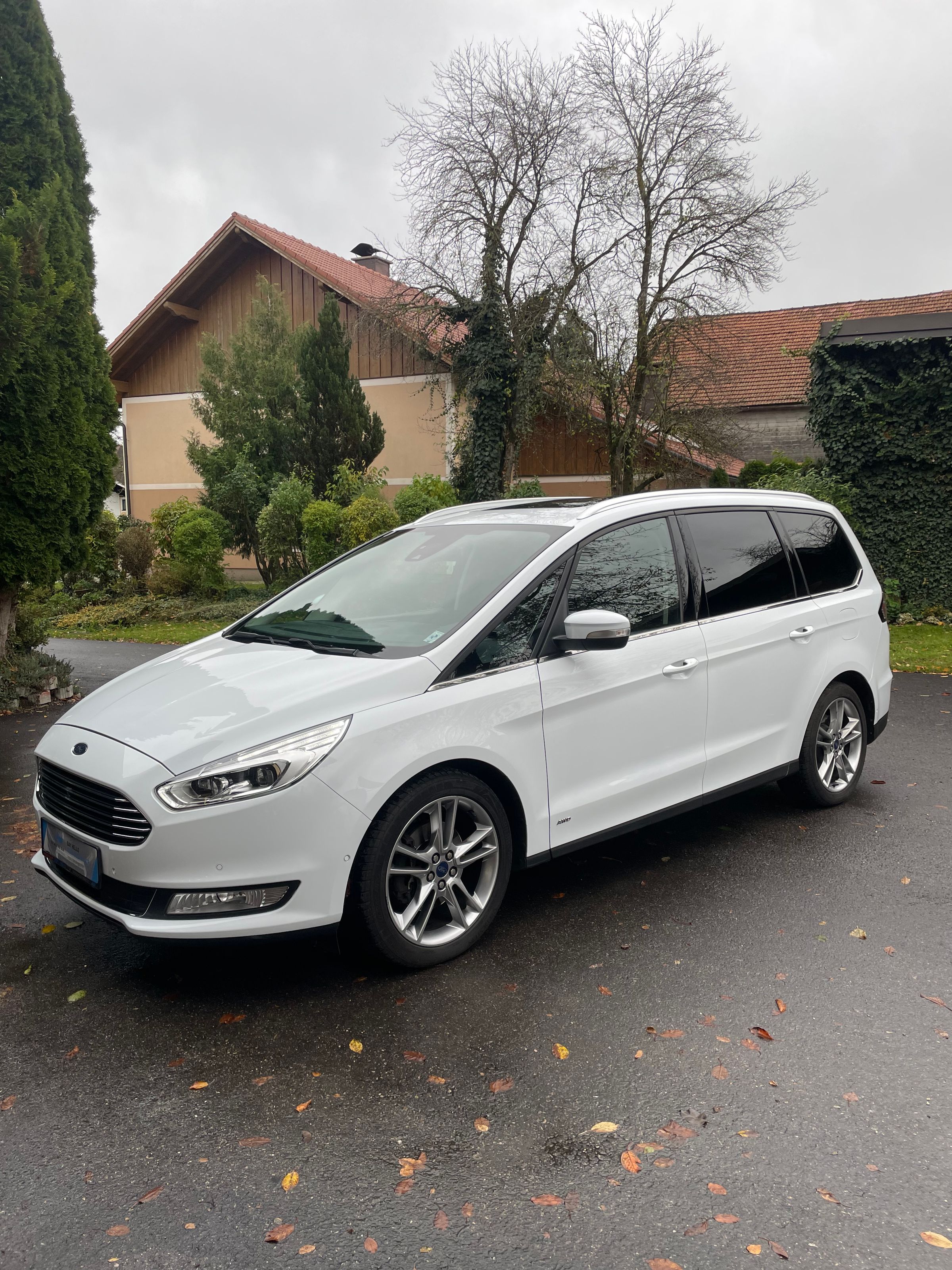 Detailing SJS's image