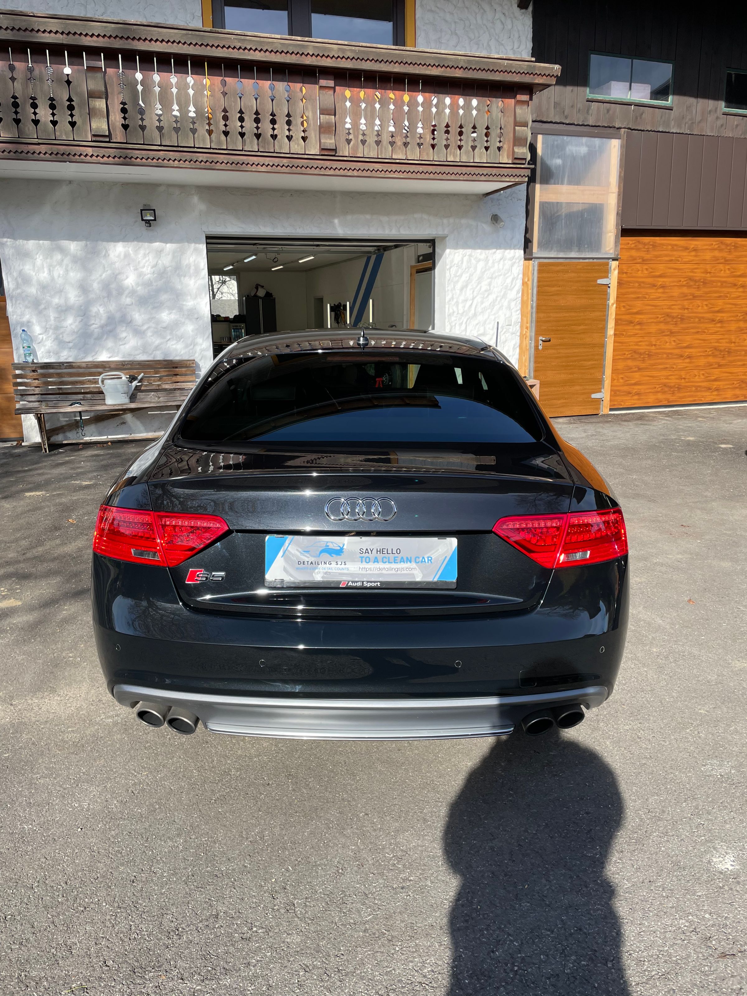 Detailing SJS's image