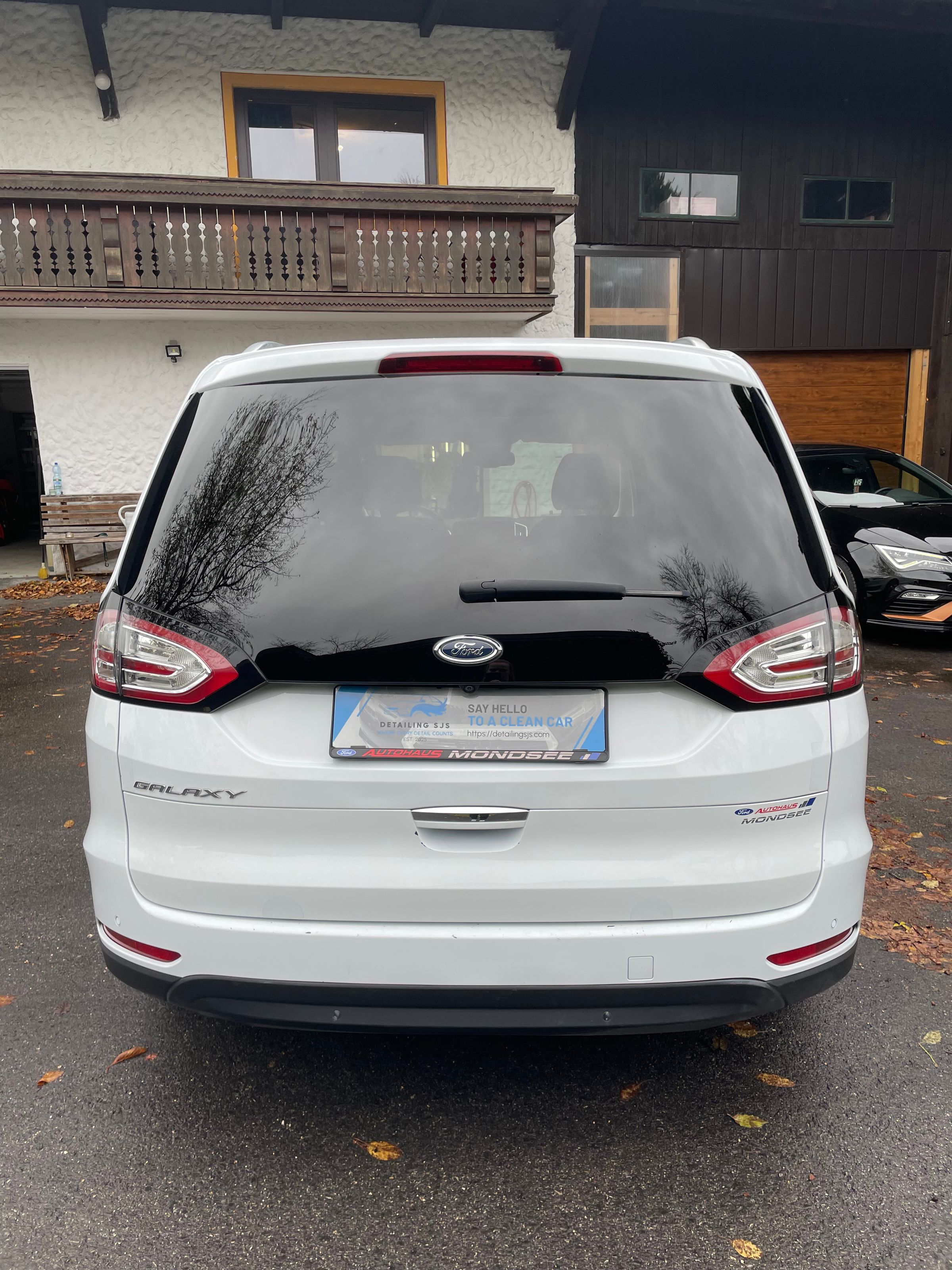 Detailing SJS's image