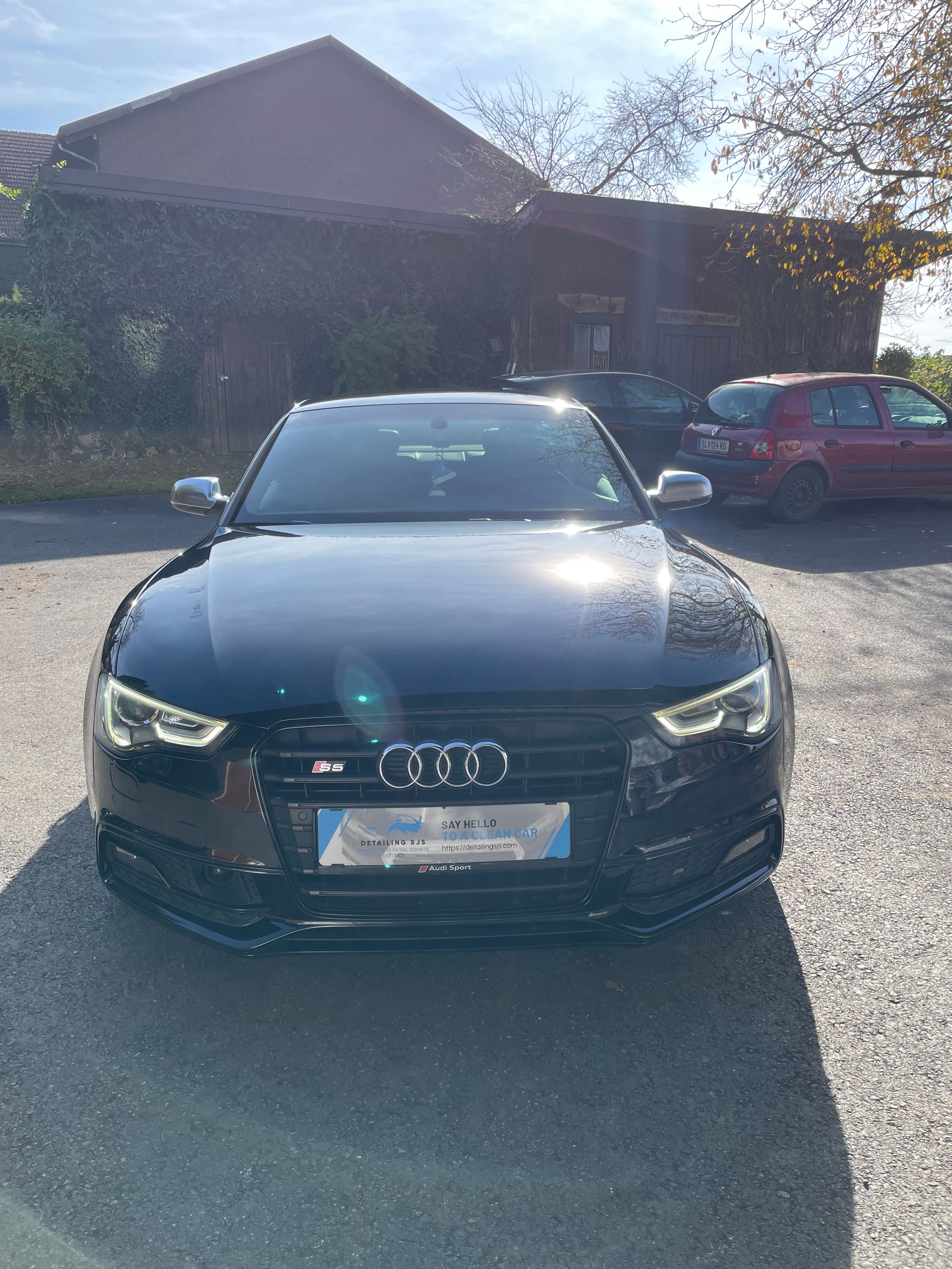 Detailing SJS's image