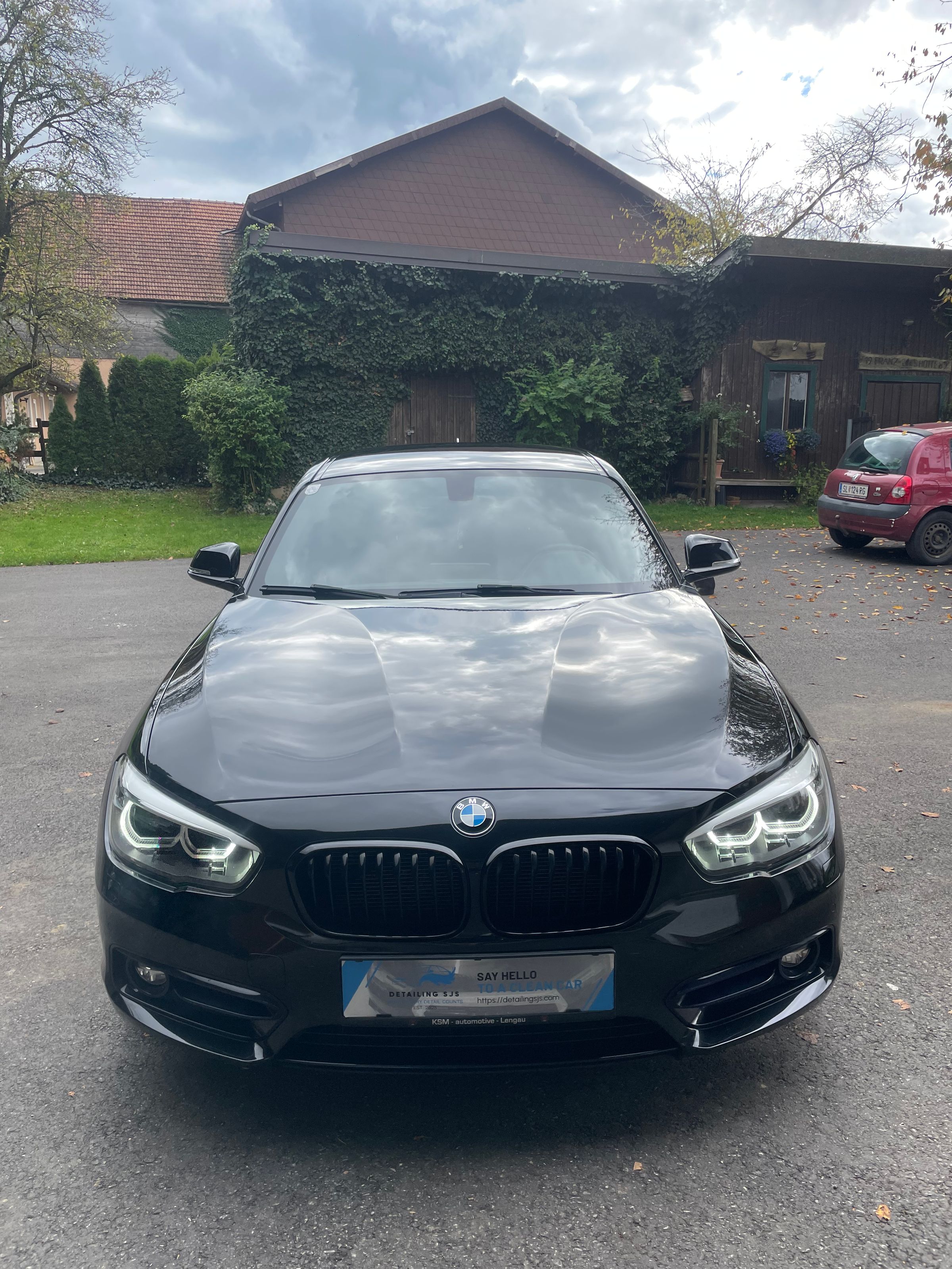 Detailing SJS's image