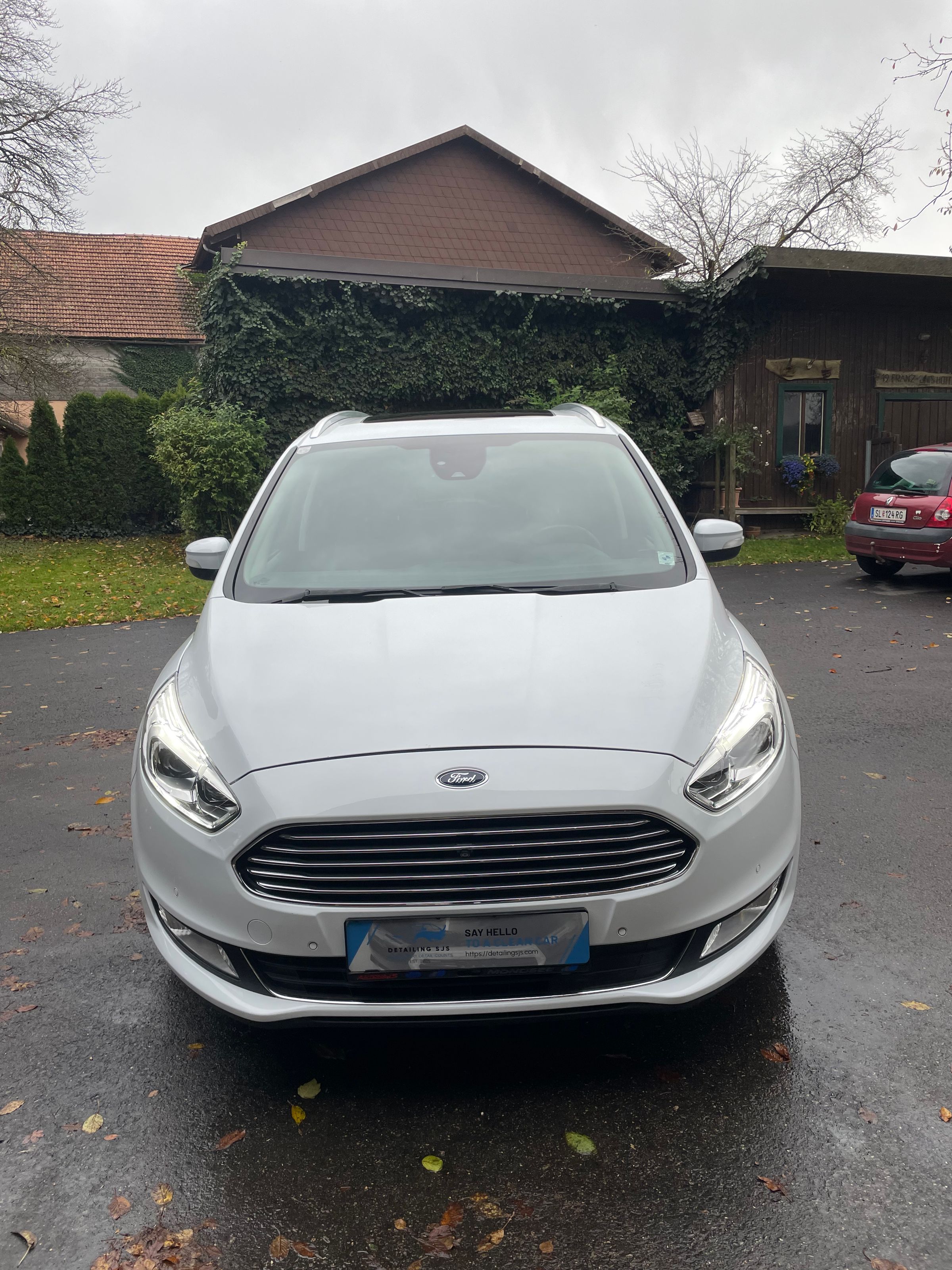 Detailing SJS's image