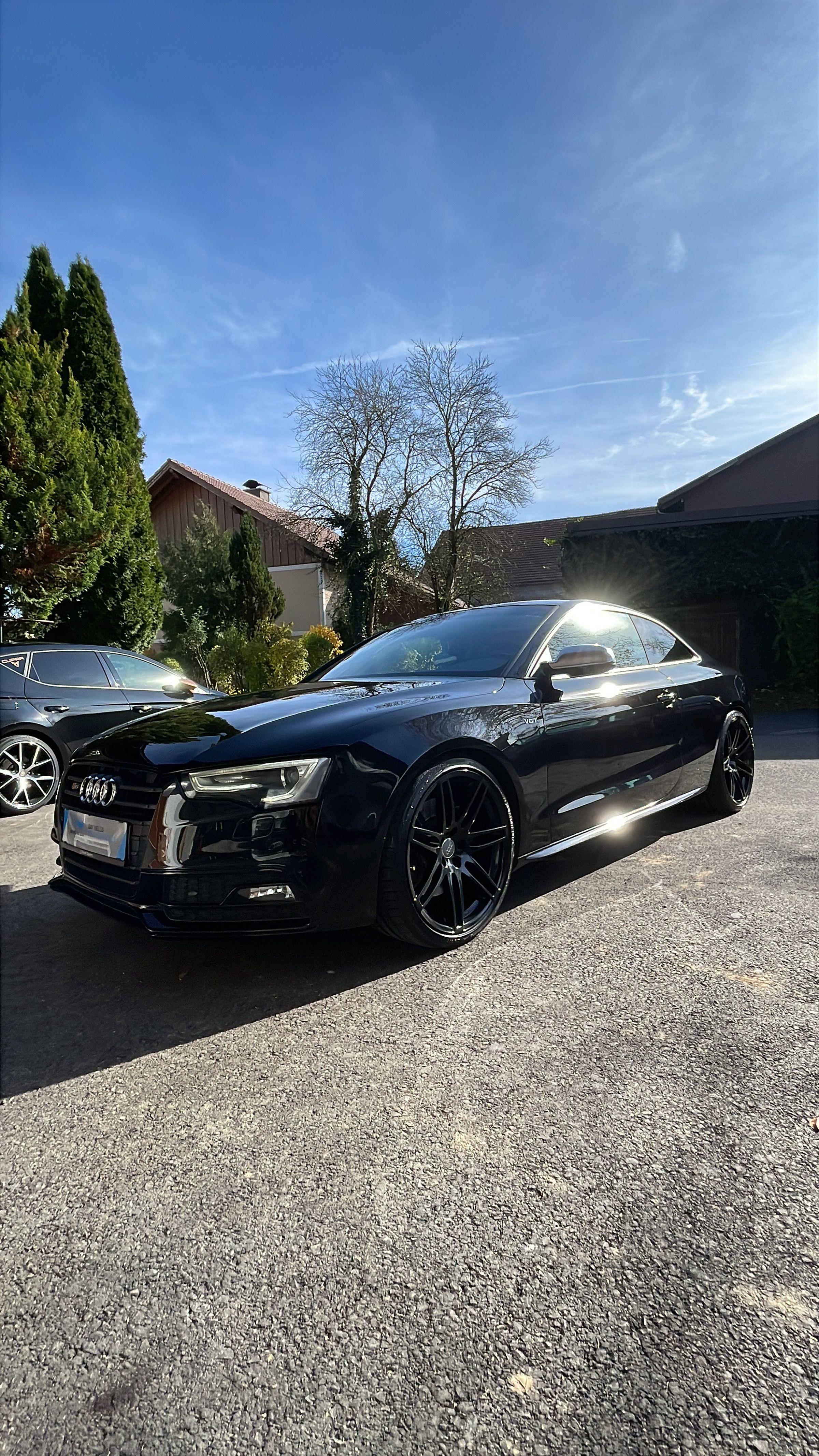 Detailing SJS's image