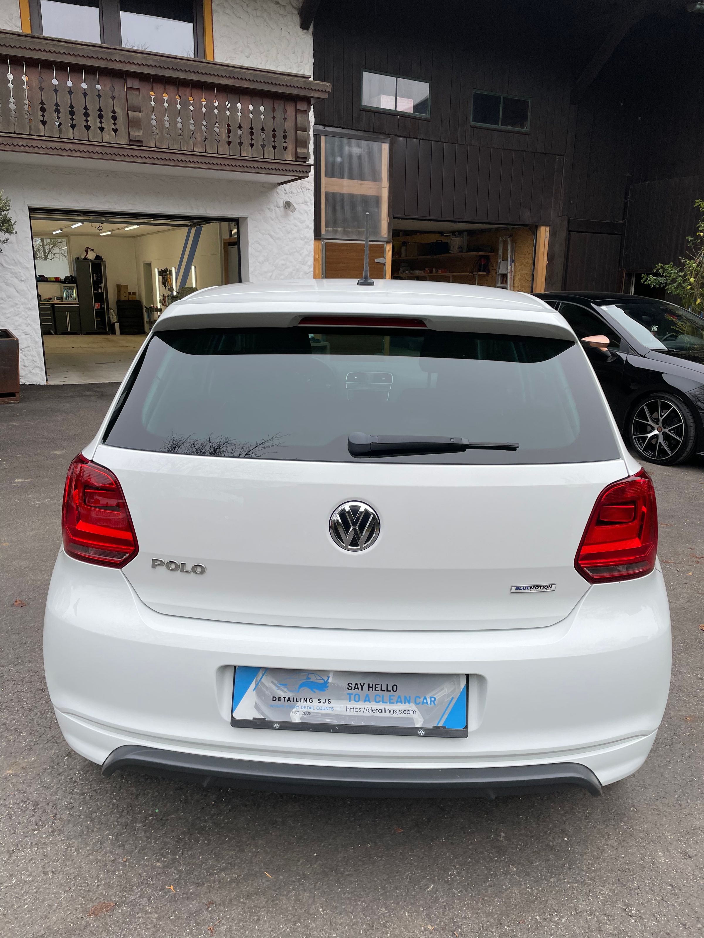 Detailing SJS's image