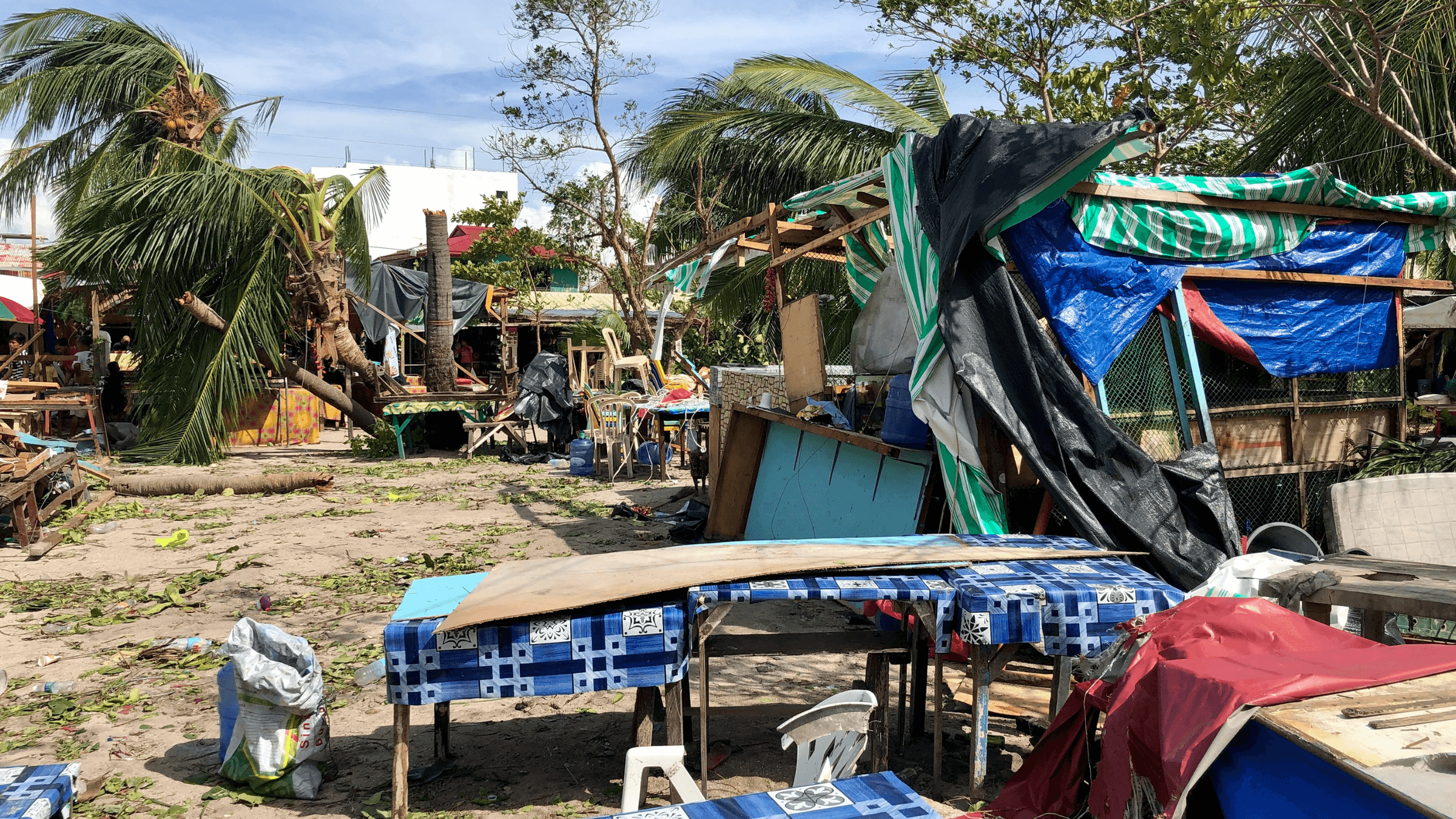 SMkas projects p/l's image