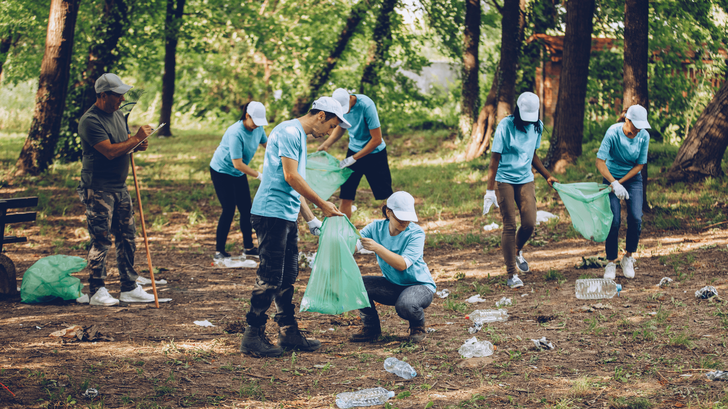 SMkas projects p/l's image