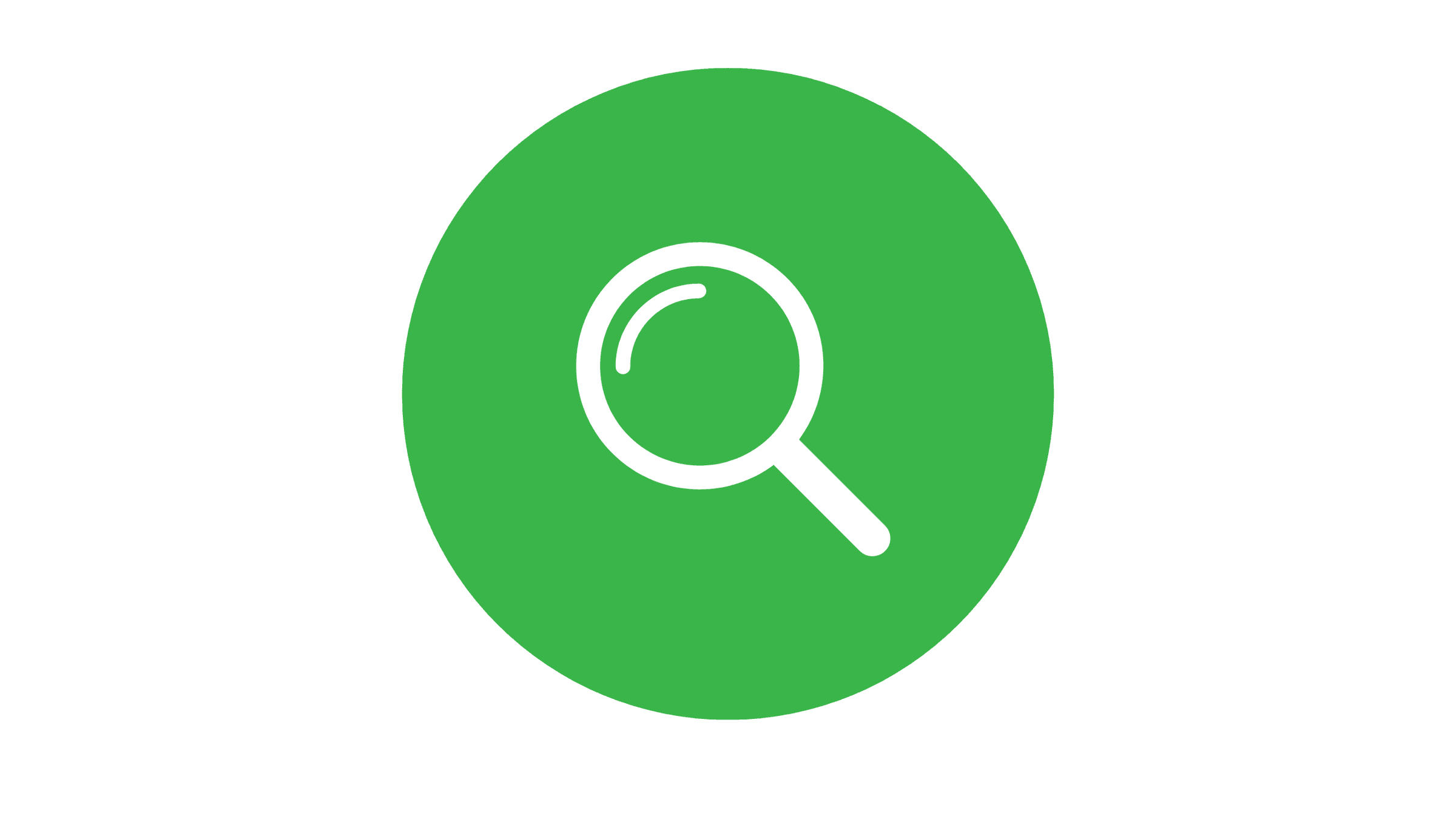 SMkas projects p/l's image