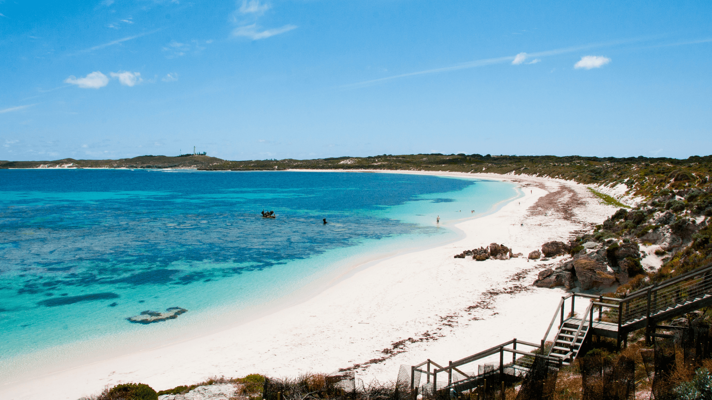 SMkas projects p/l's image