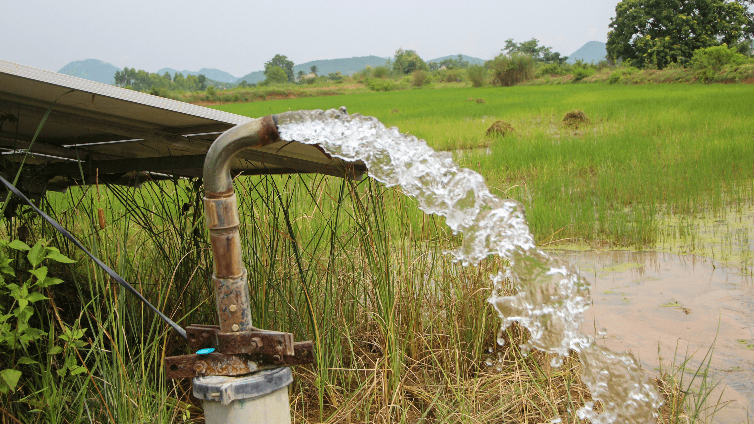 SMkas projects p/l's image