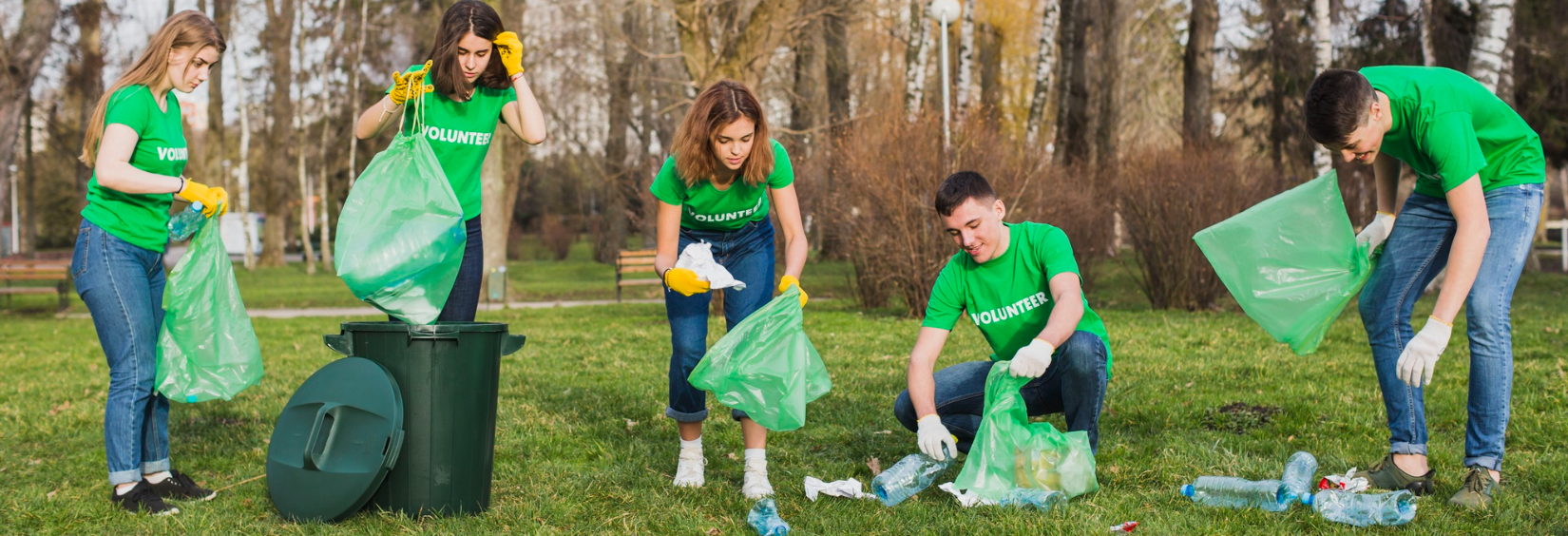 SMkas projects p/l's image