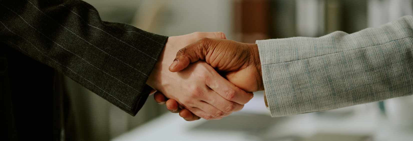 SMkas projects p/l's image