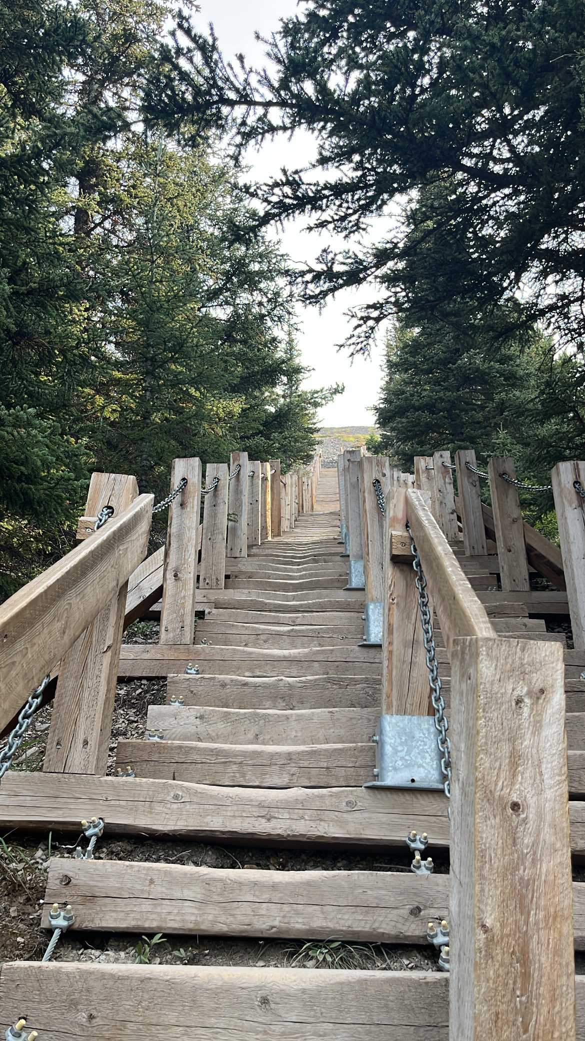 Alpine Adventurers's image