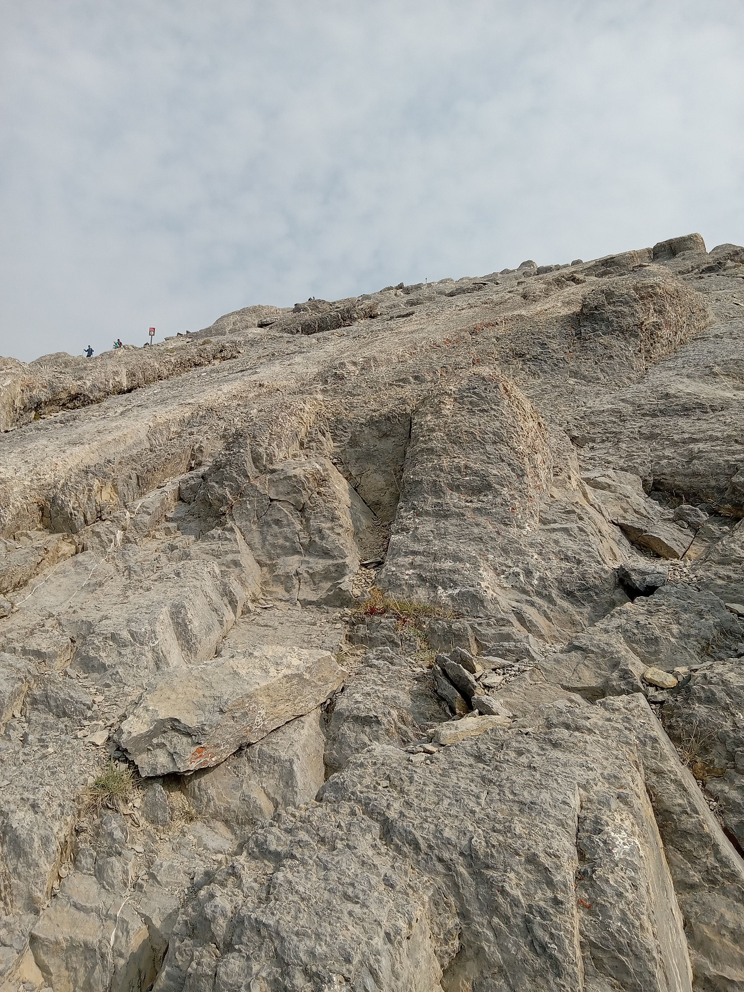 Alpine Adventurers's image