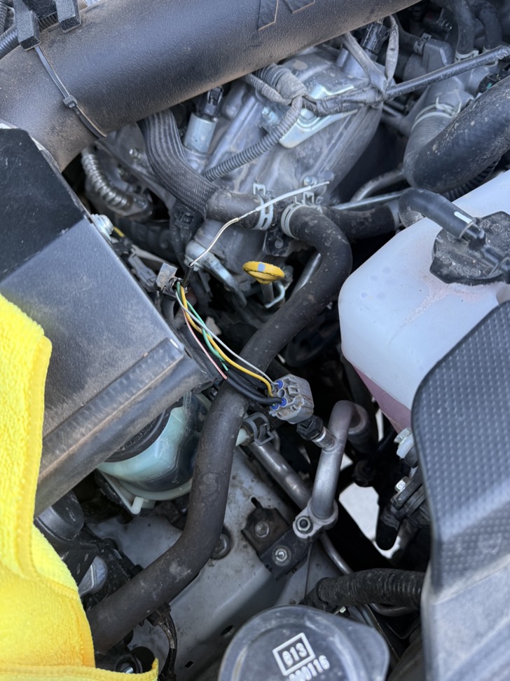 Pack-rat wire repair on 2021 4Runner TRD Pro