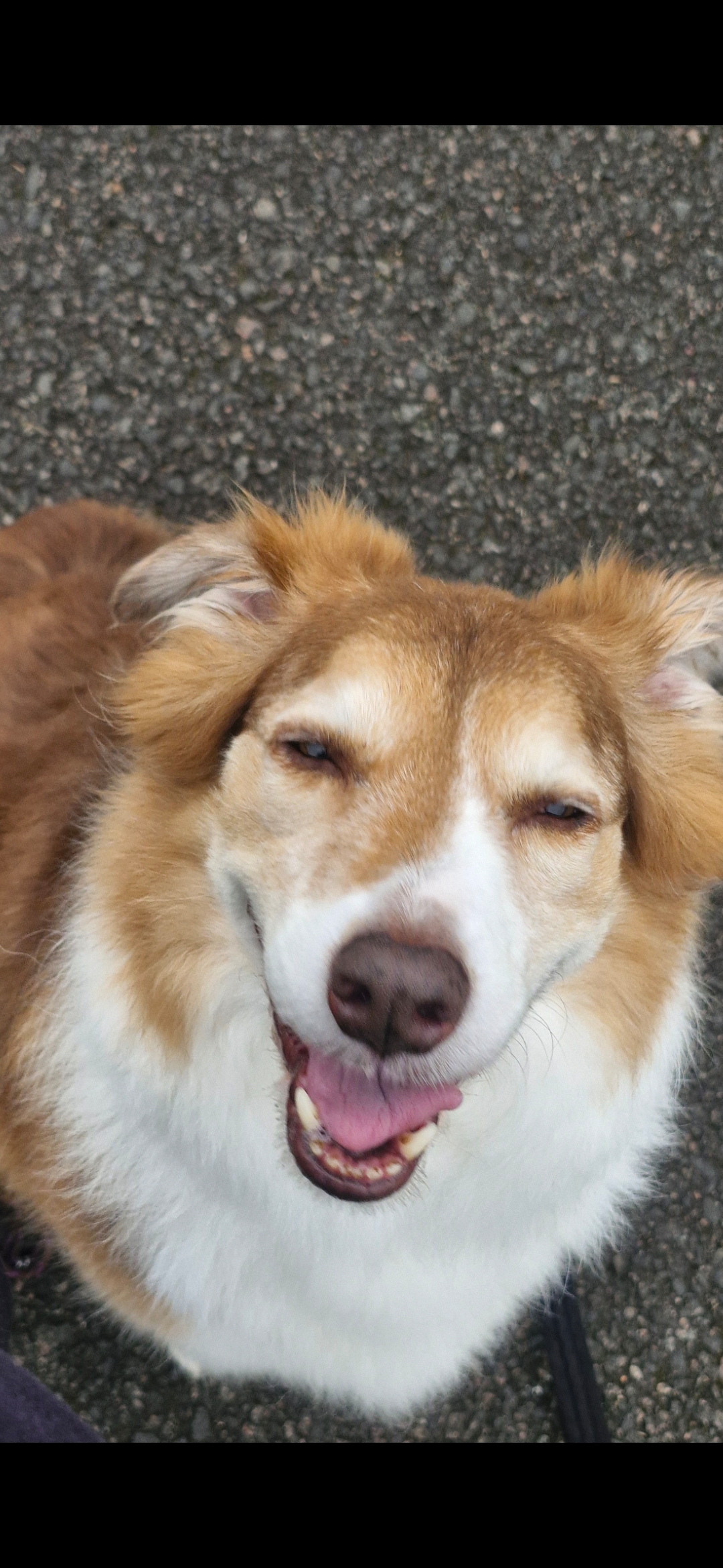 Hugo's Hikes's image