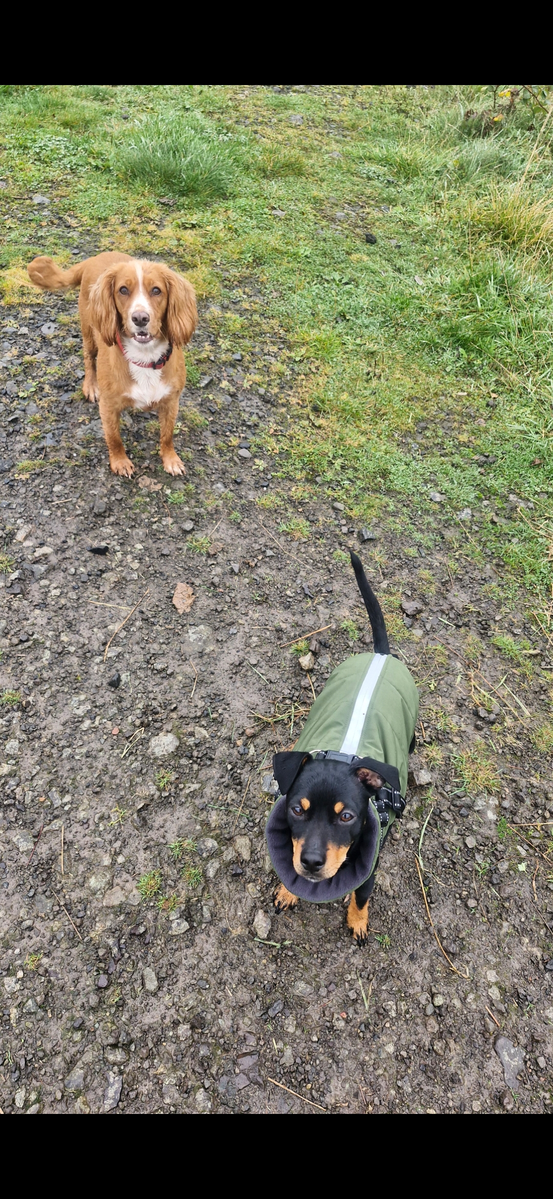 Hugo's Hikes's image