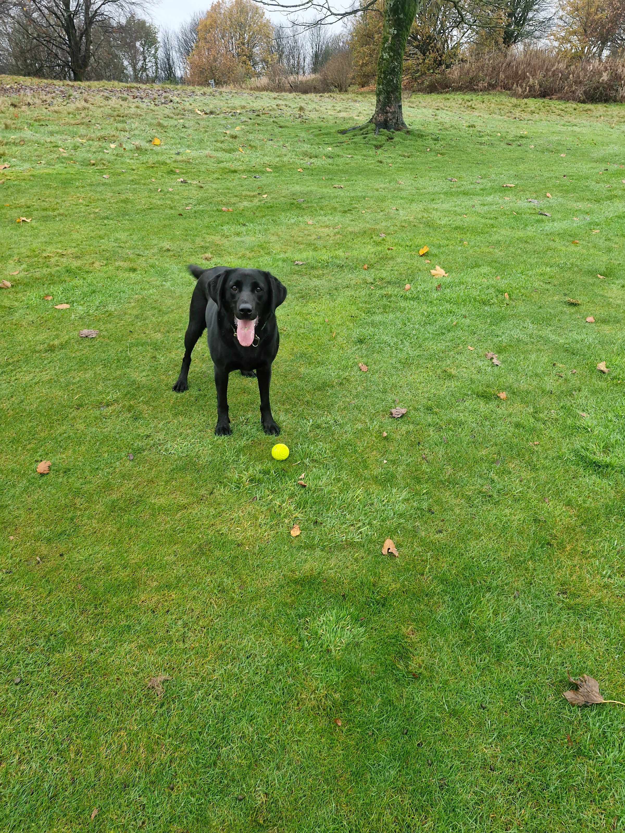 Hugo's Hikes's image