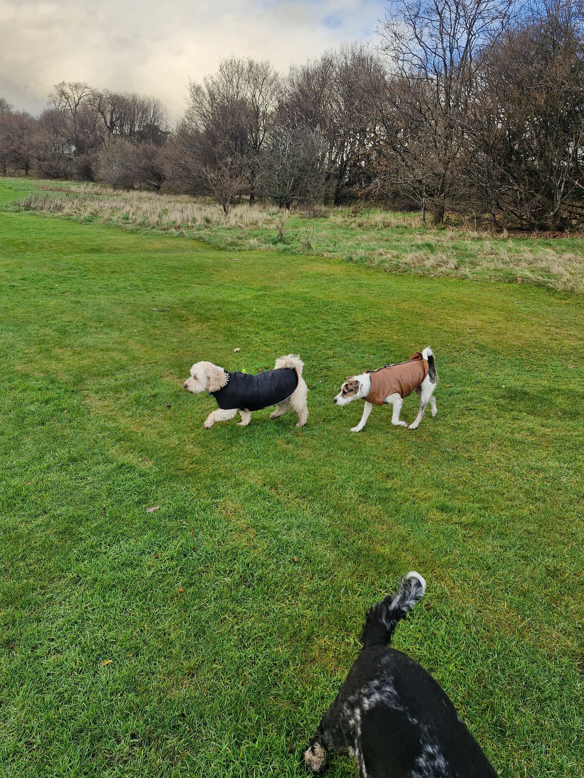 Hugo's Hikes's image