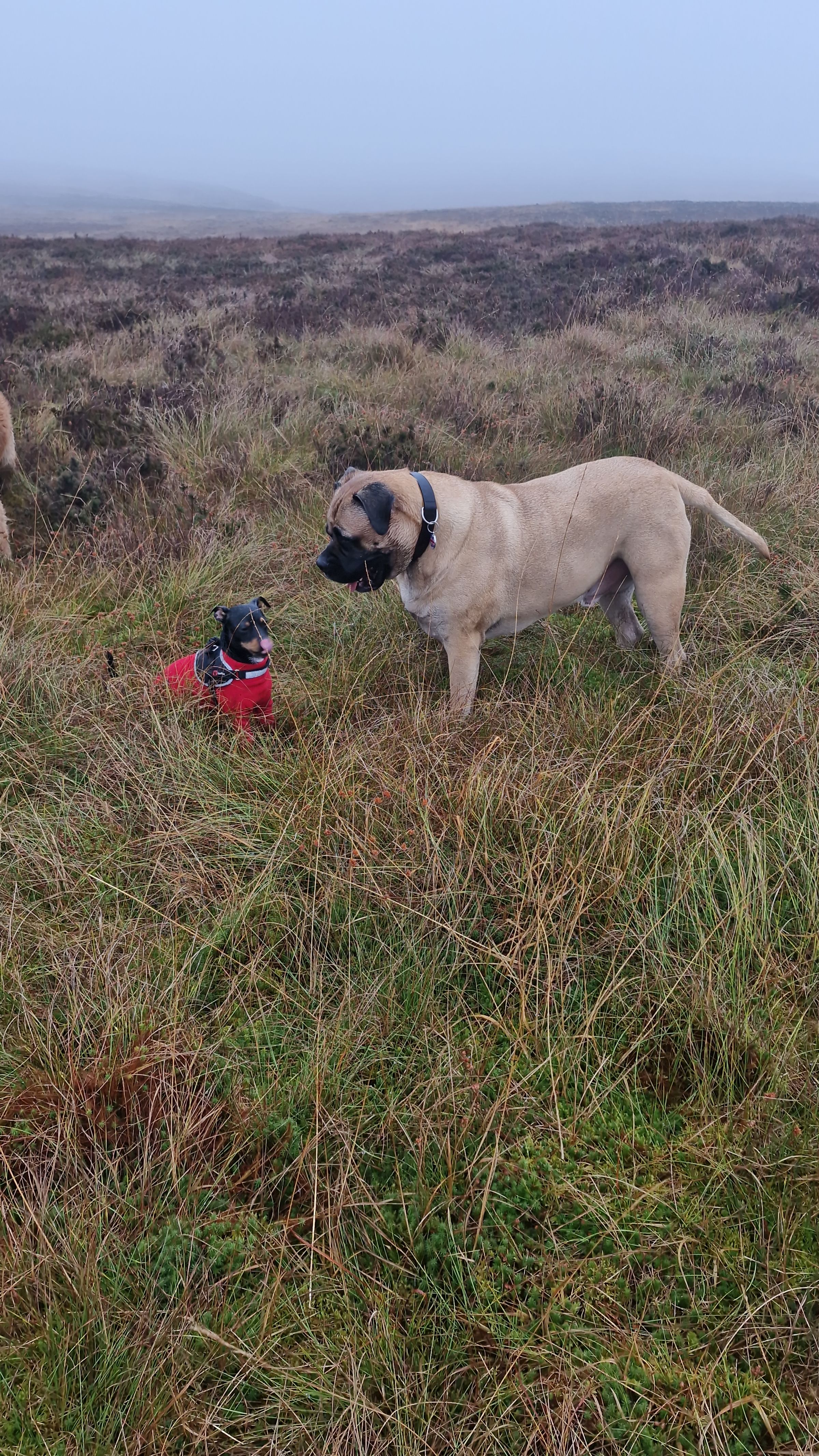 Hugo's Hikes's image