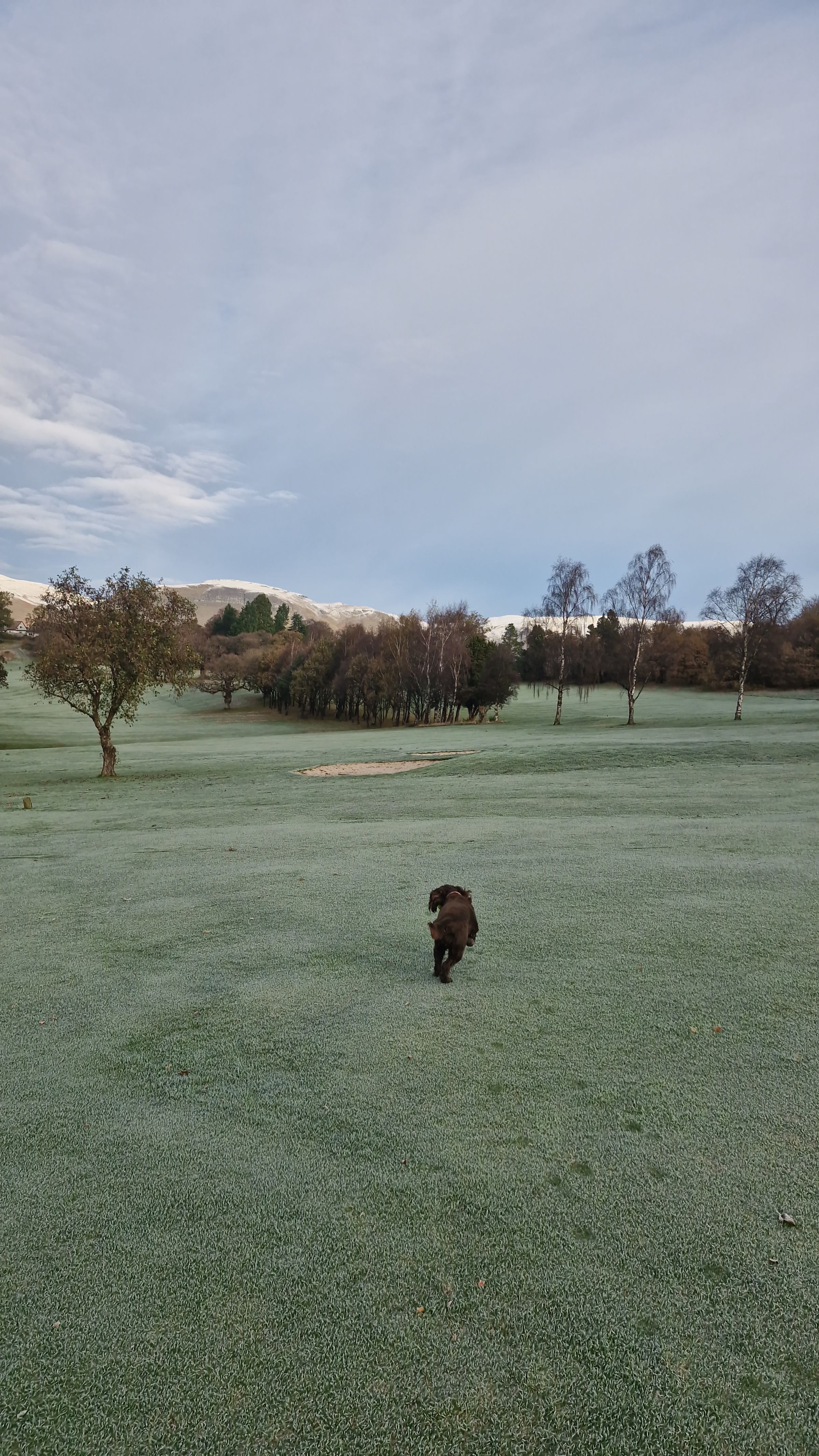 Hugo's Hikes's image