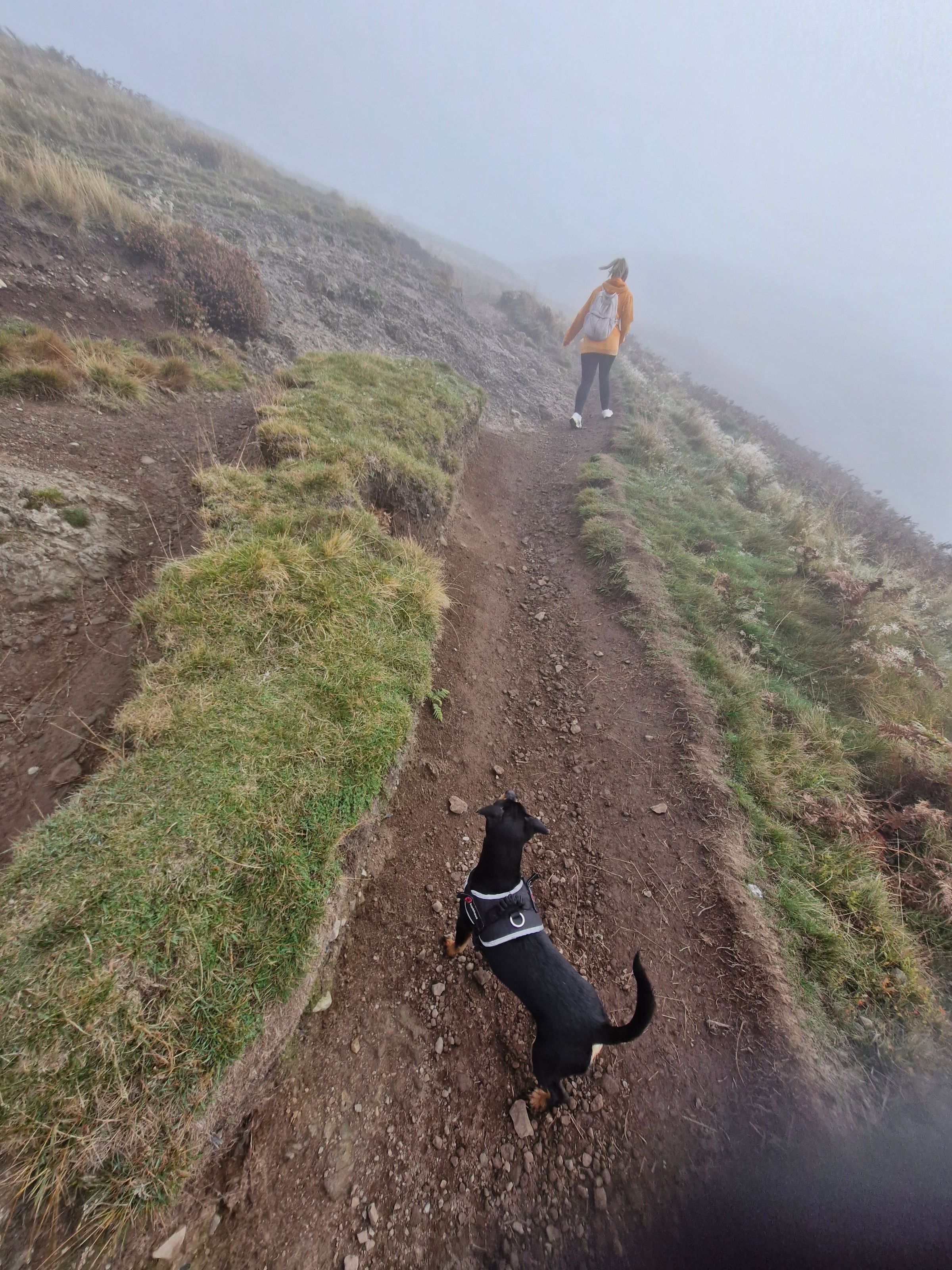 Hugo's Hikes's image