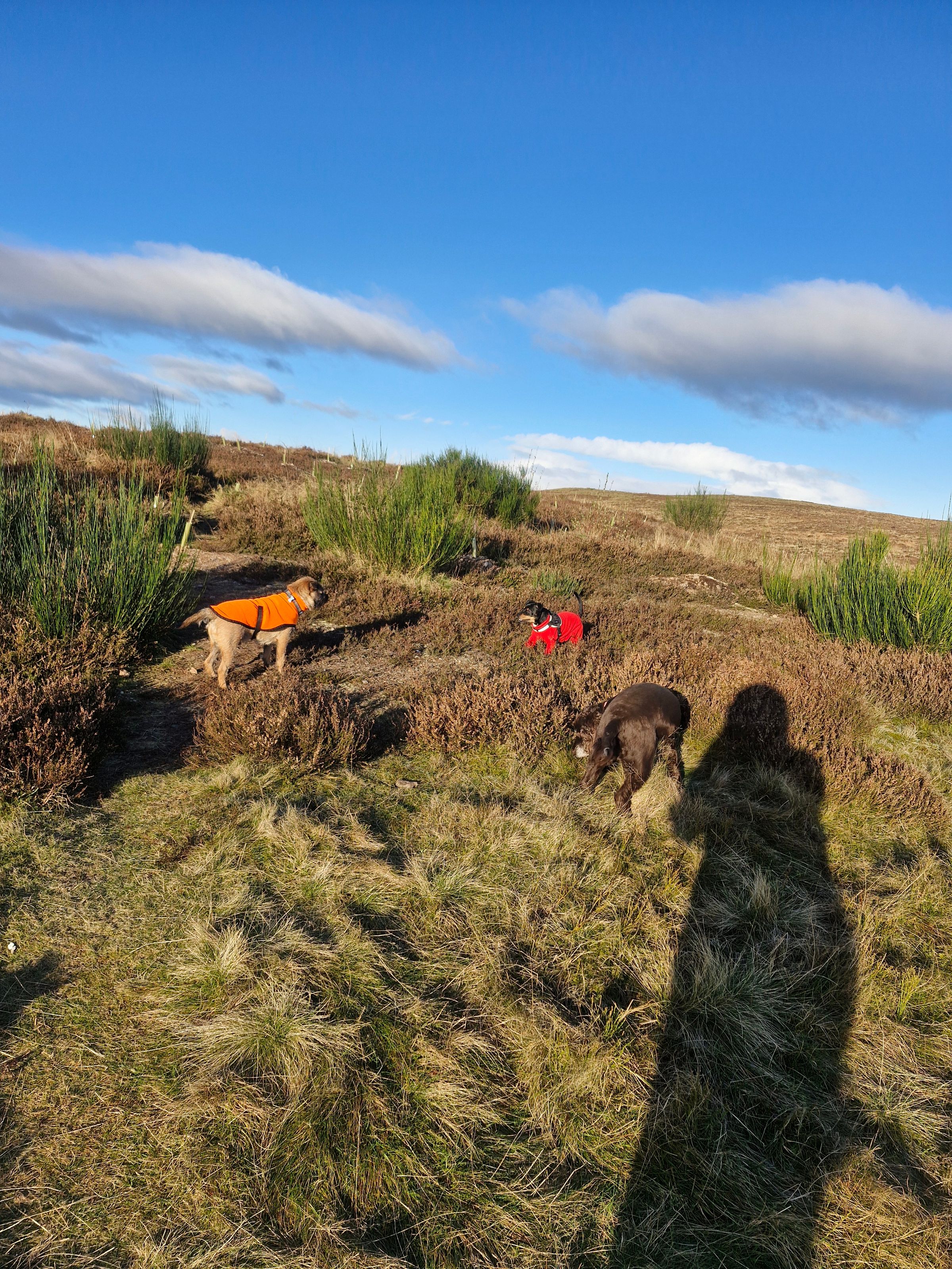 Hugo's Hikes's image