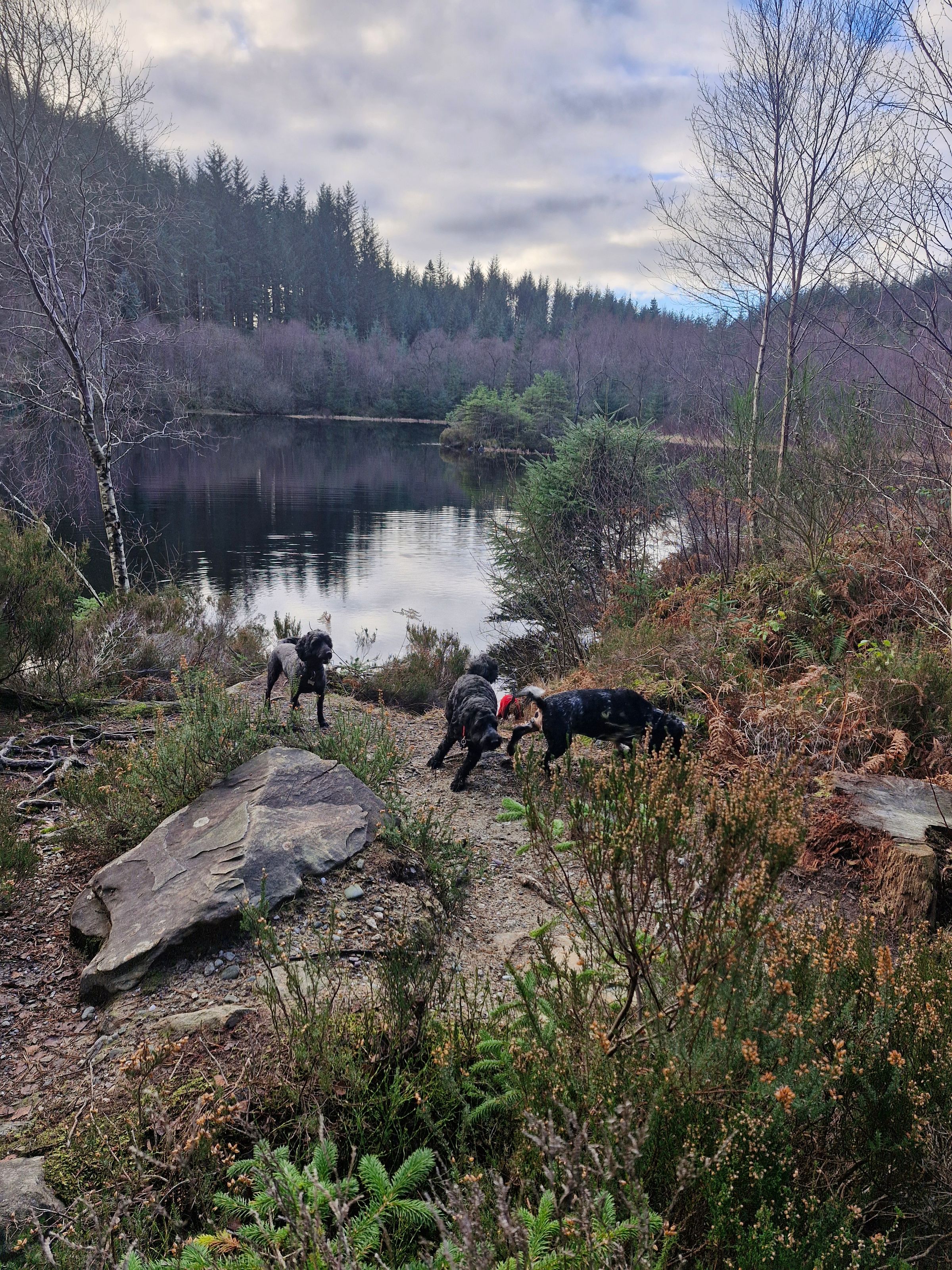 Hugo's Hikes's image