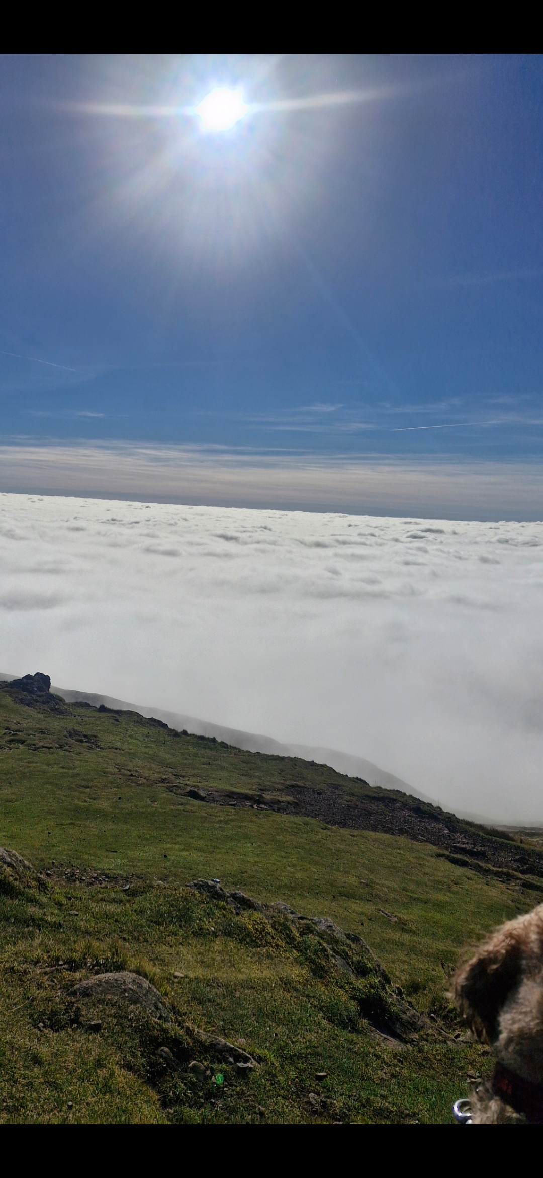 Hugo's Hikes's image