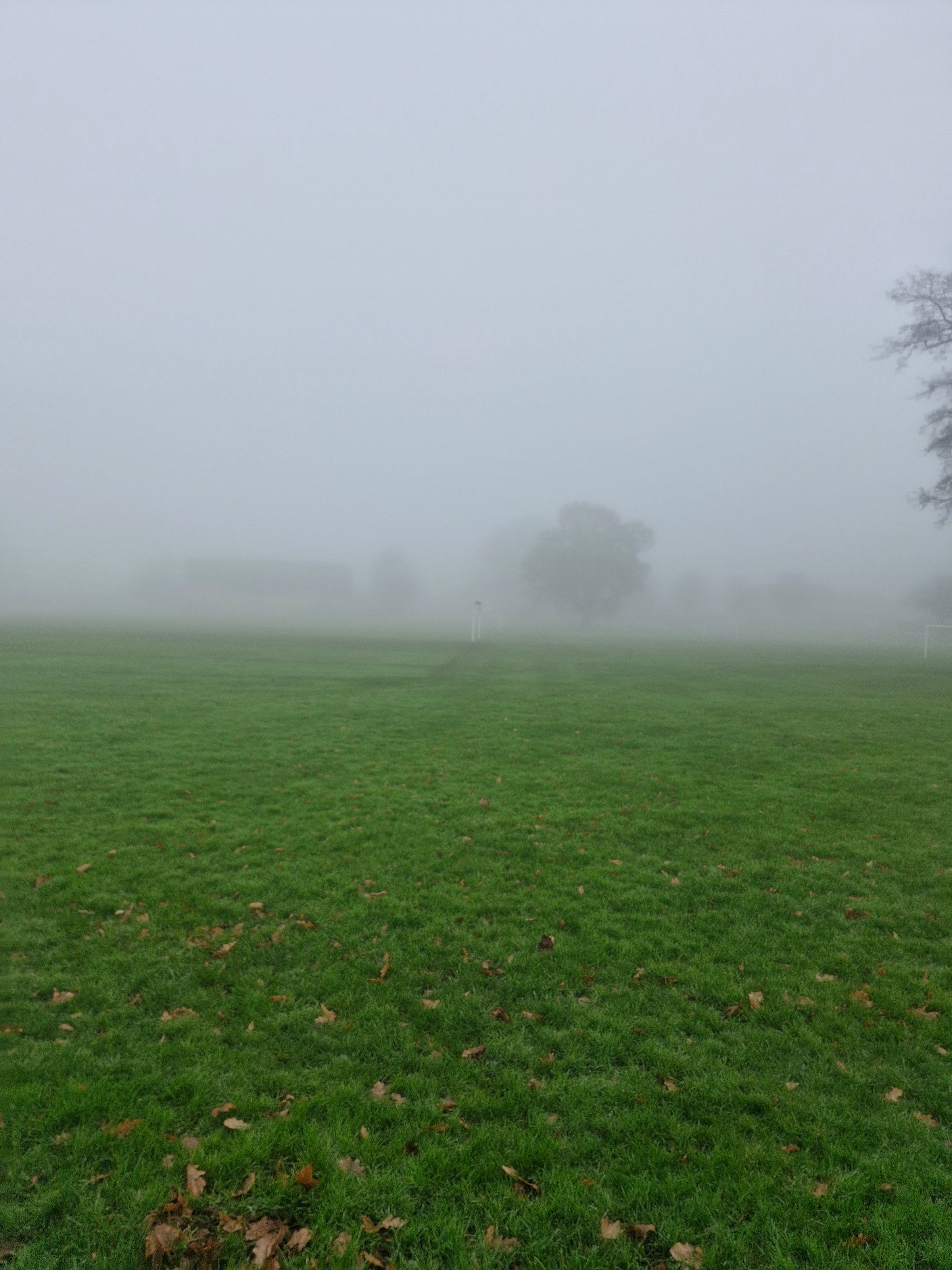 Hugo's Hikes's image