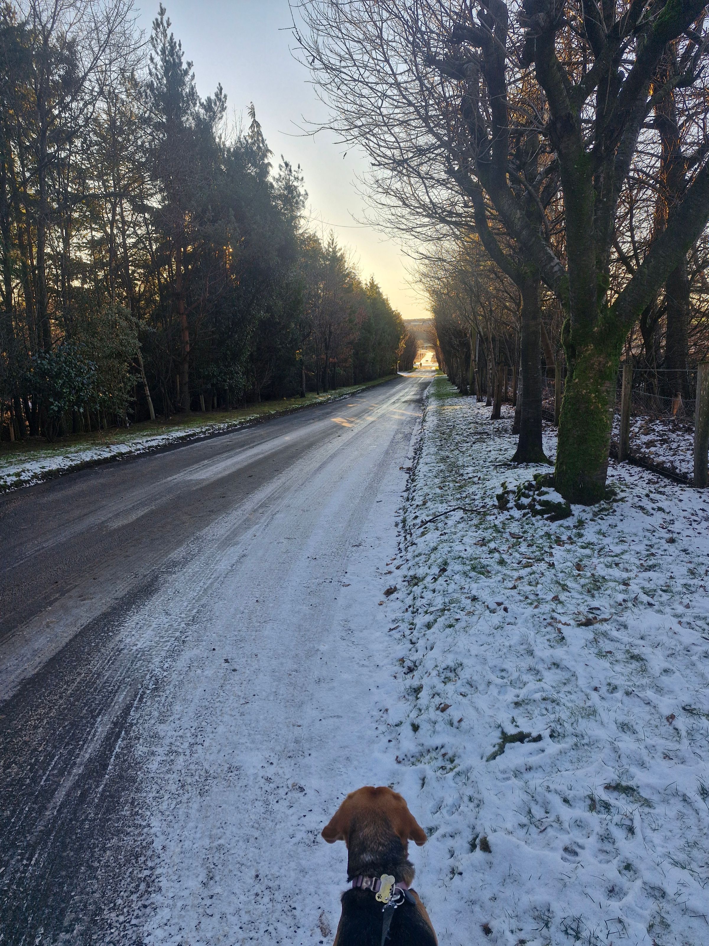 Hugo's Hikes's image